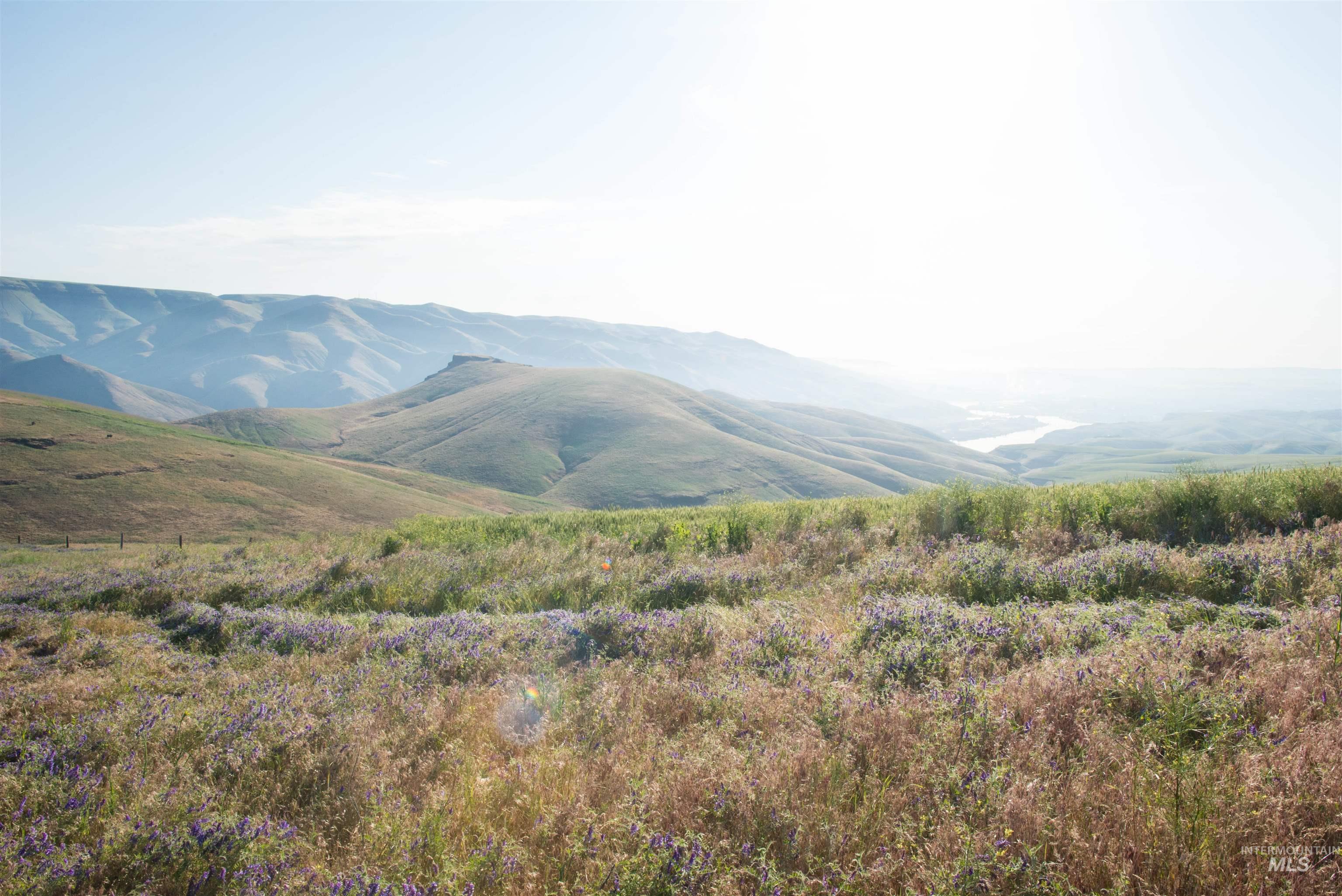 2001 Silcott Hills Road Clarkston, WA 99403 - Photo 17 of 26