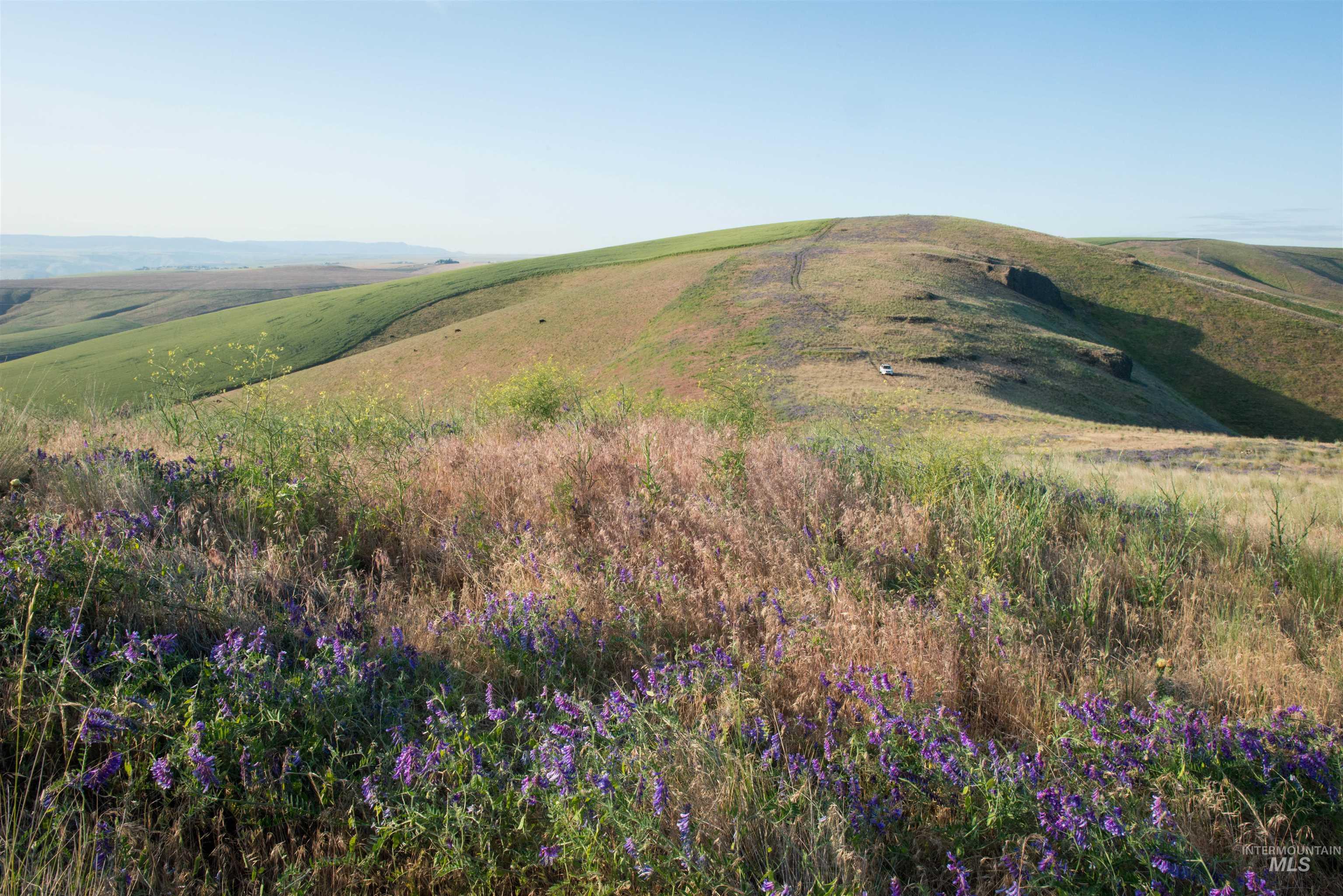 2001 Silcott Hills Road Clarkston, WA 99403 - Photo 5 of 26