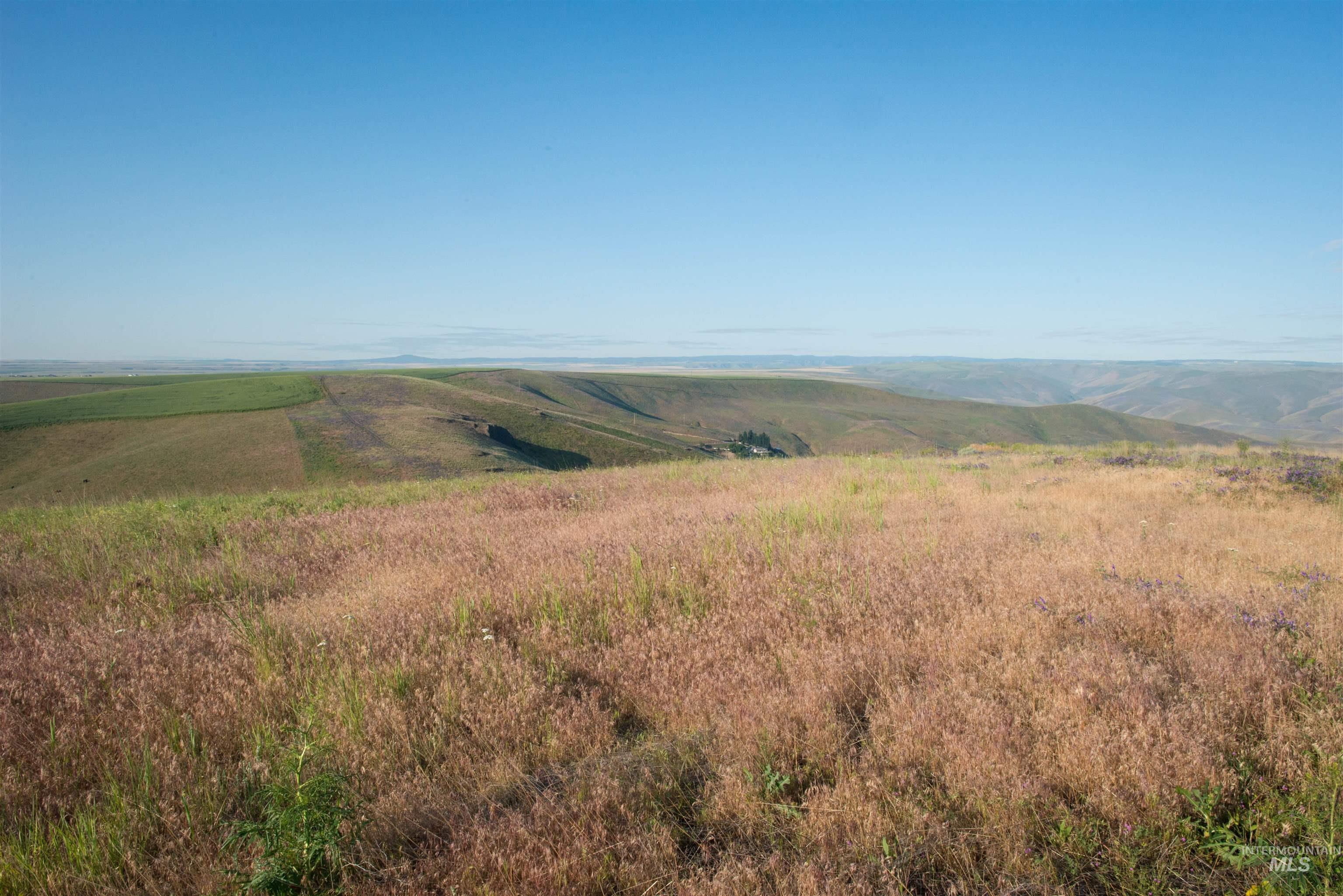 2001 Silcott Hills Road Clarkston, WA 99403 - Photo 6 of 26