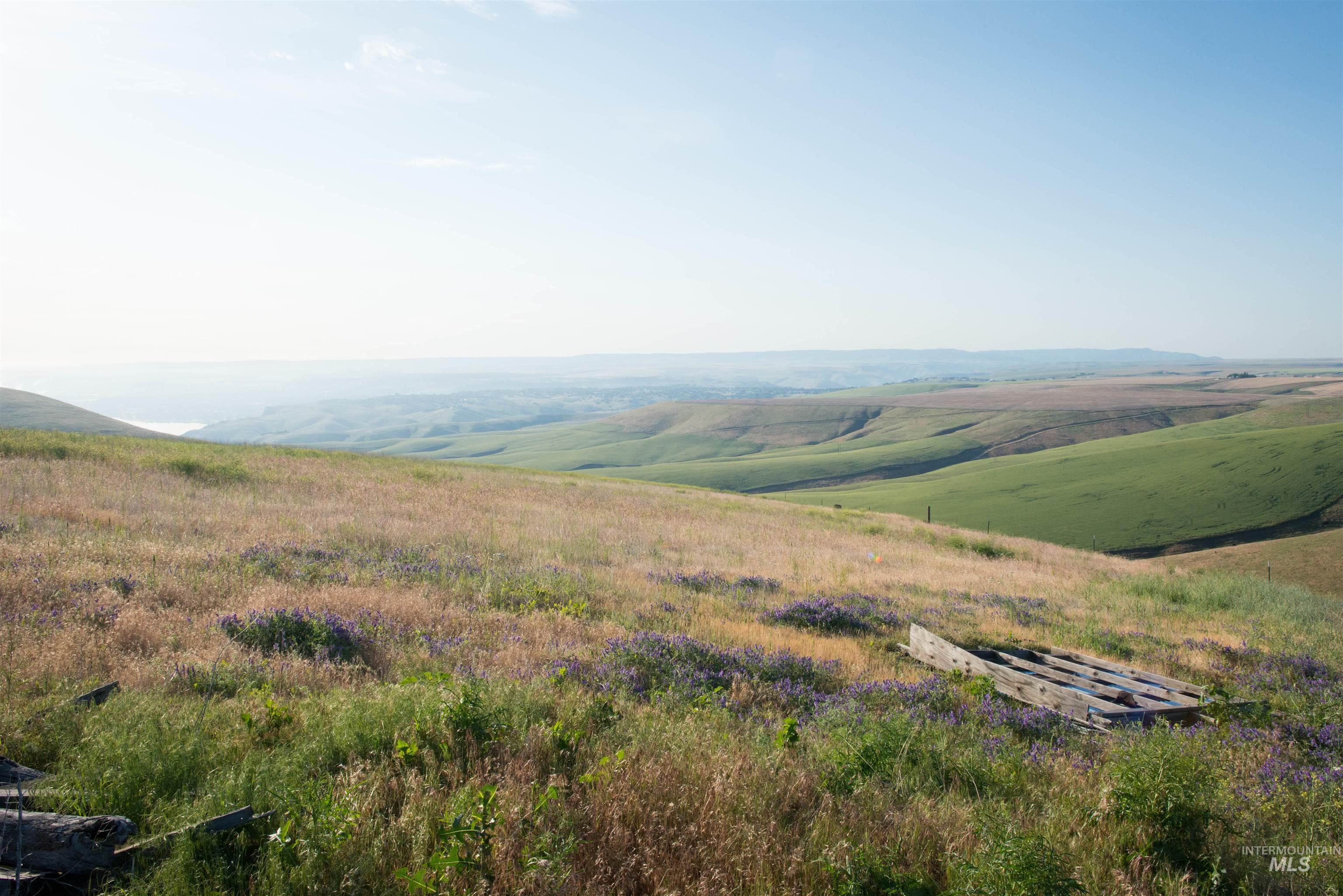 2001 Silcott Hills Road Clarkston, WA 99403 - Photo 8 of 26