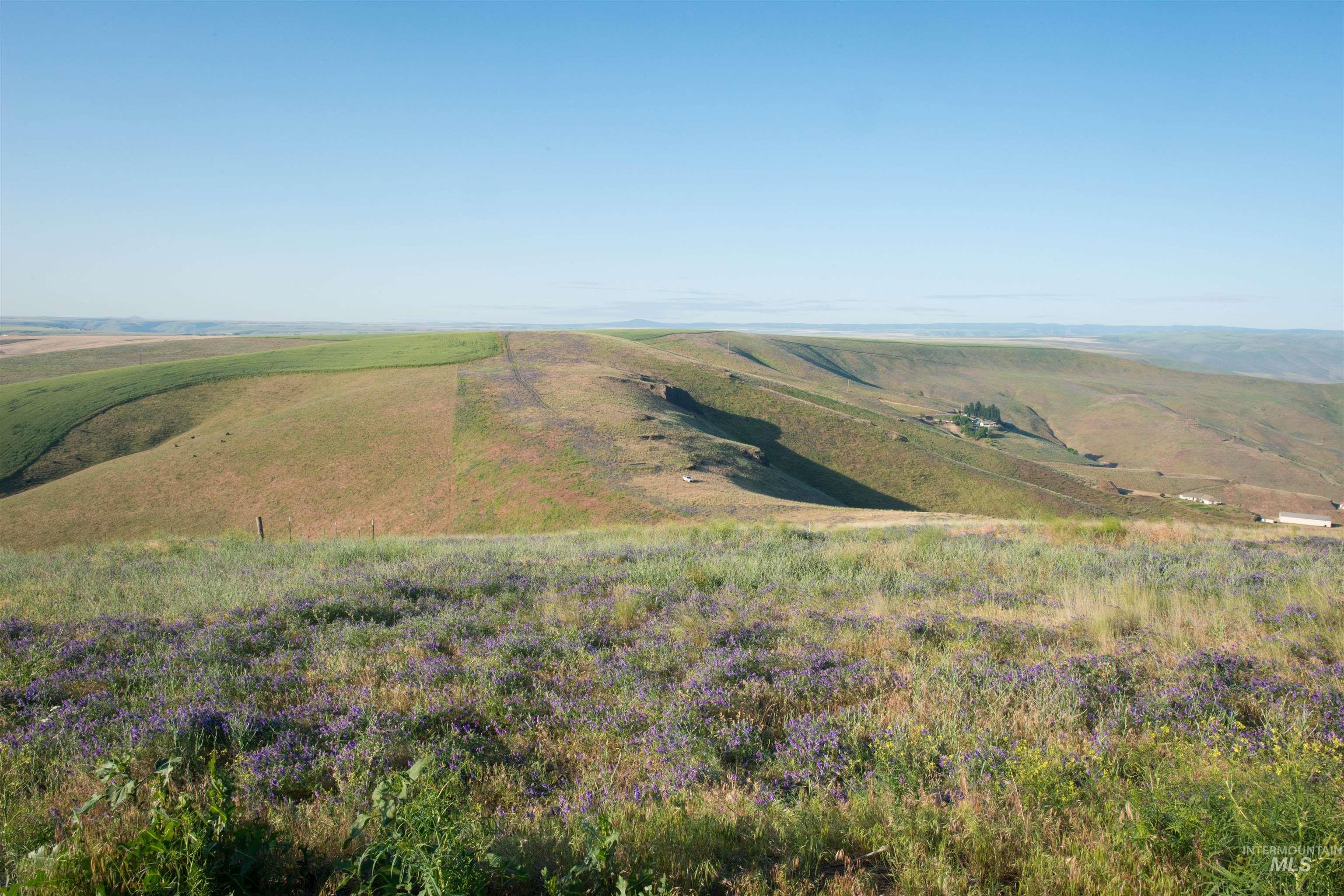 2001 Silcott Hills Road Clarkston, WA 99403 - Photo 9 of 26