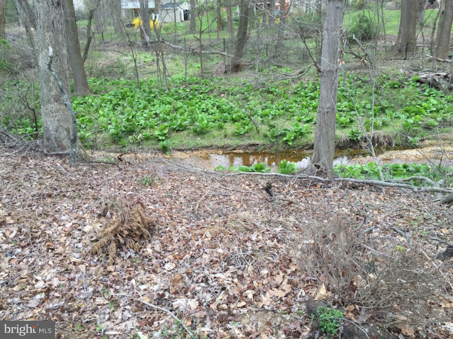 505 Sharp Drive Mickleton, NJ 08056 - Photo 5 of 10 Back Yard