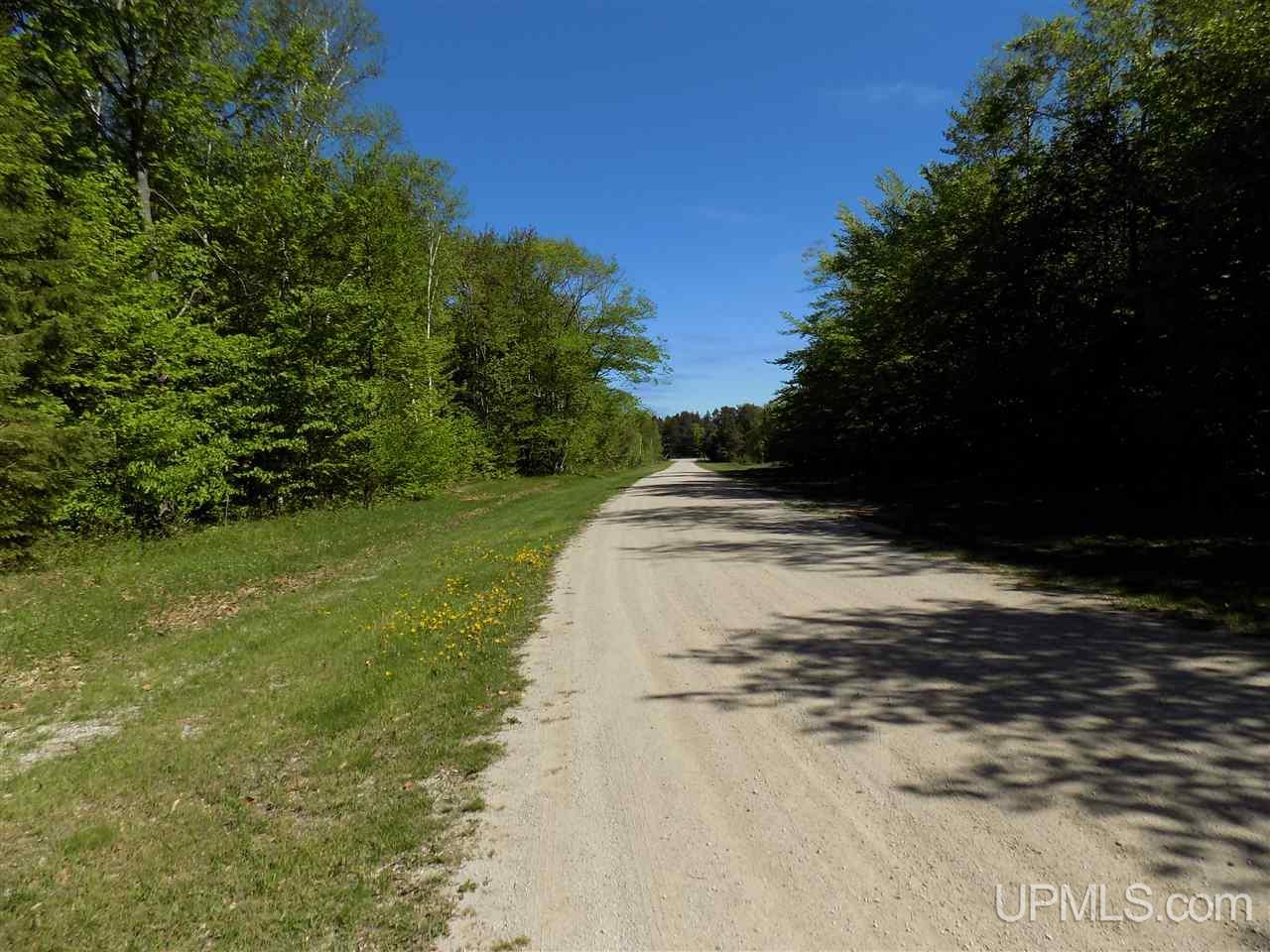 Tbd Northshore Bluffs Road, Unit 4 Manistique, MI 49854 - Photo 21 of 21