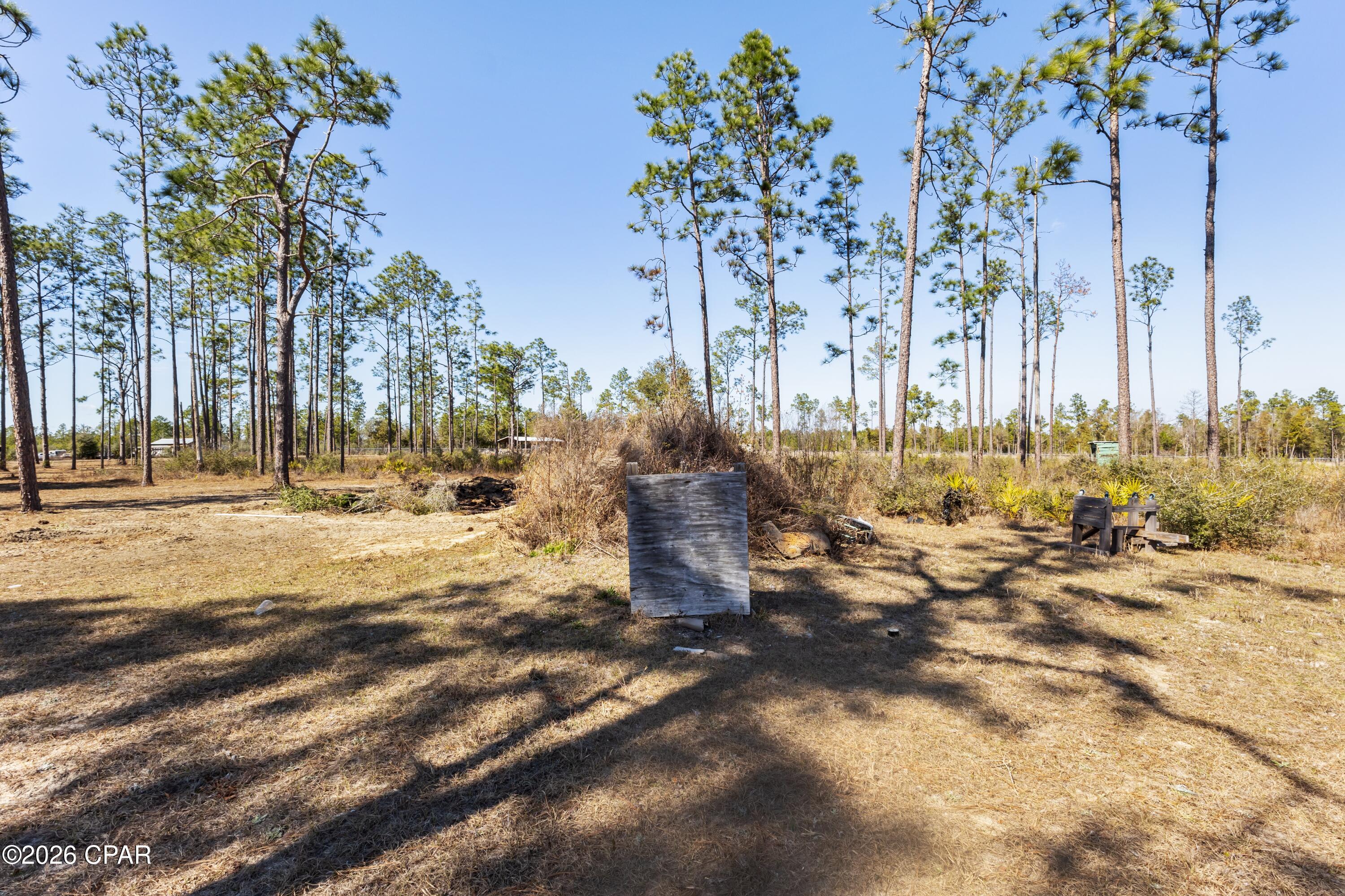 25961 Walter Potts Road Altha, FL 32421 - Photo 21 of 23