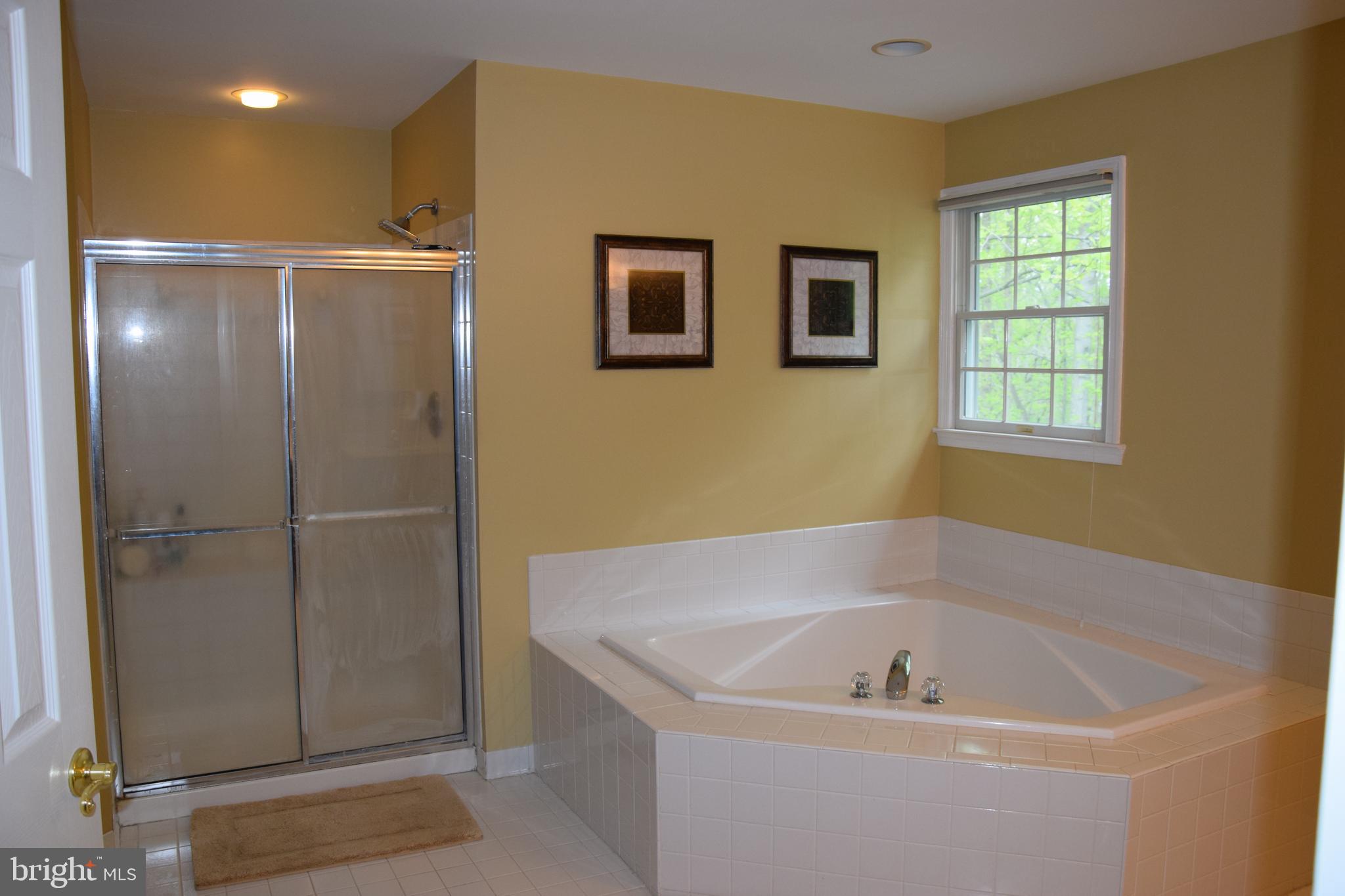 2007 Cortland Road Davidsonville, MD 21035 - Photo 27 of 34 Master Bath