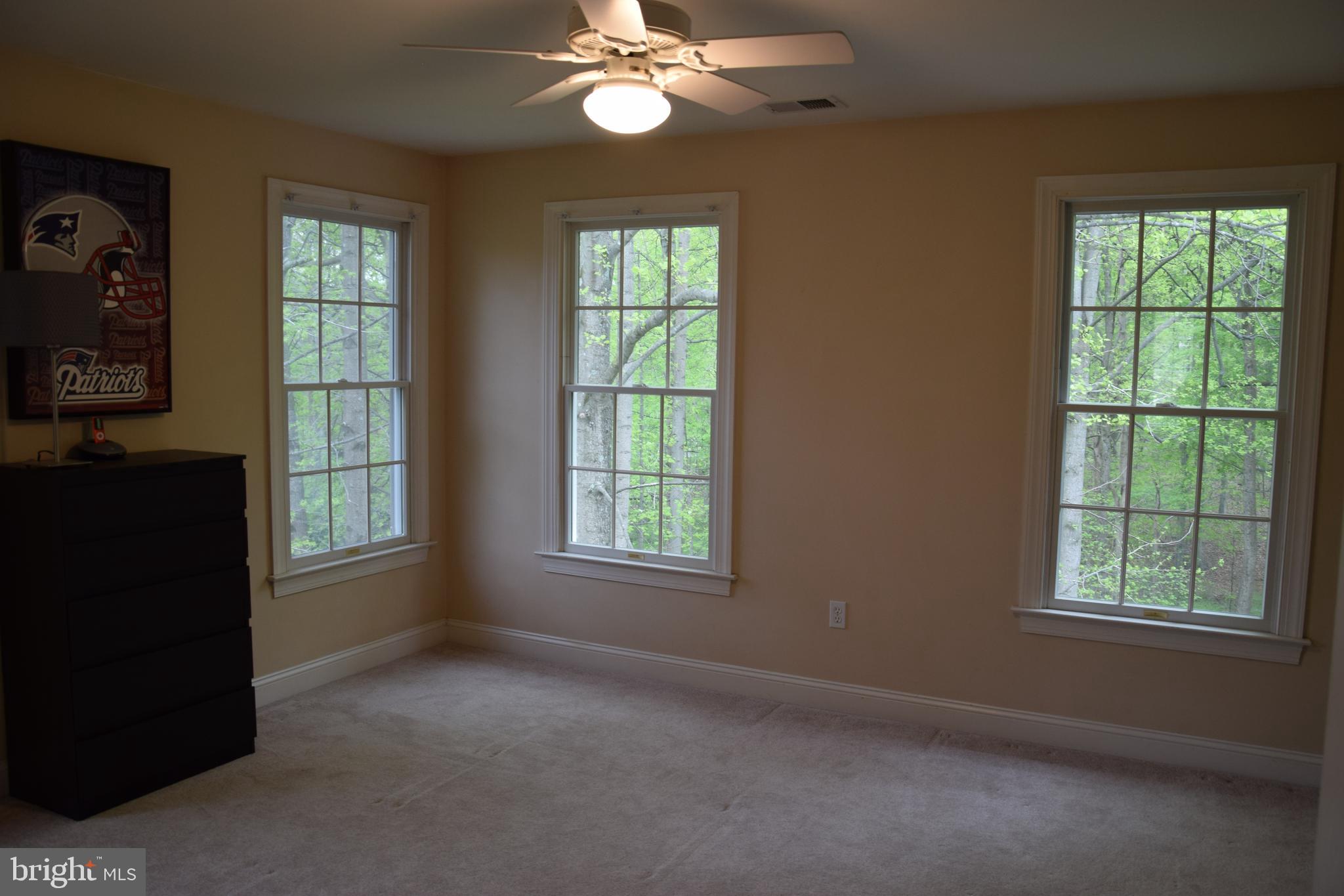 2007 Cortland Road Davidsonville, MD 21035 - Photo 28 of 34 Bedroom #2