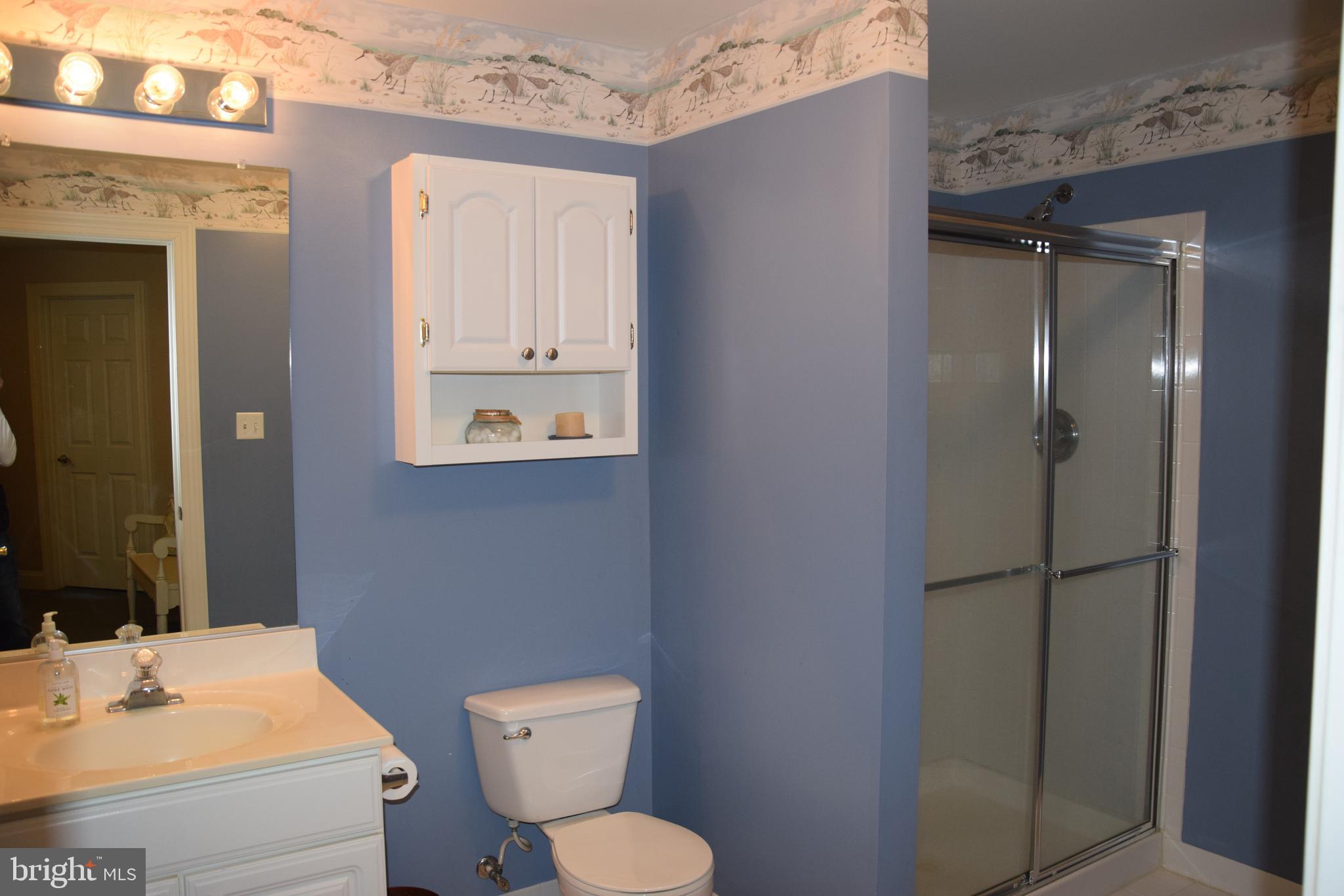2007 Cortland Road Davidsonville, MD 21035 - Photo 34 of 34 Basement Bathroom