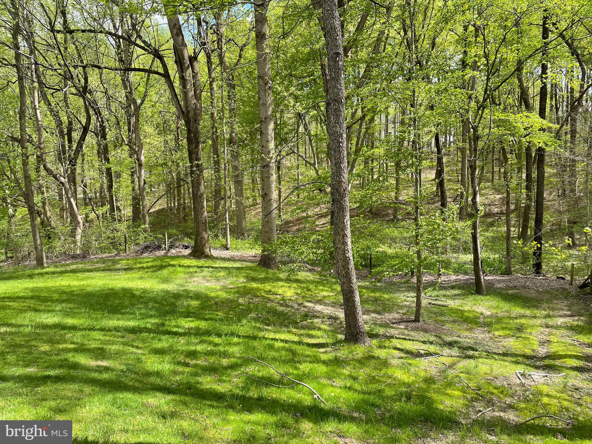 2007 Cortland Road Davidsonville, MD 21035 - Photo 8 of 34 Gallery Image 8