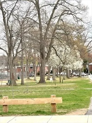 a view of a volley ball court