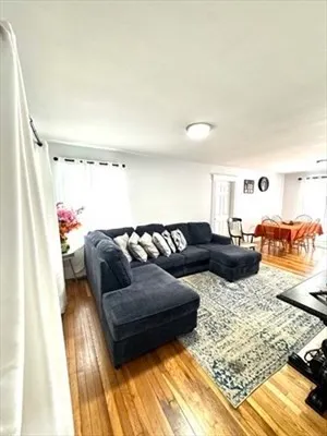 a living room with furniture and a rug