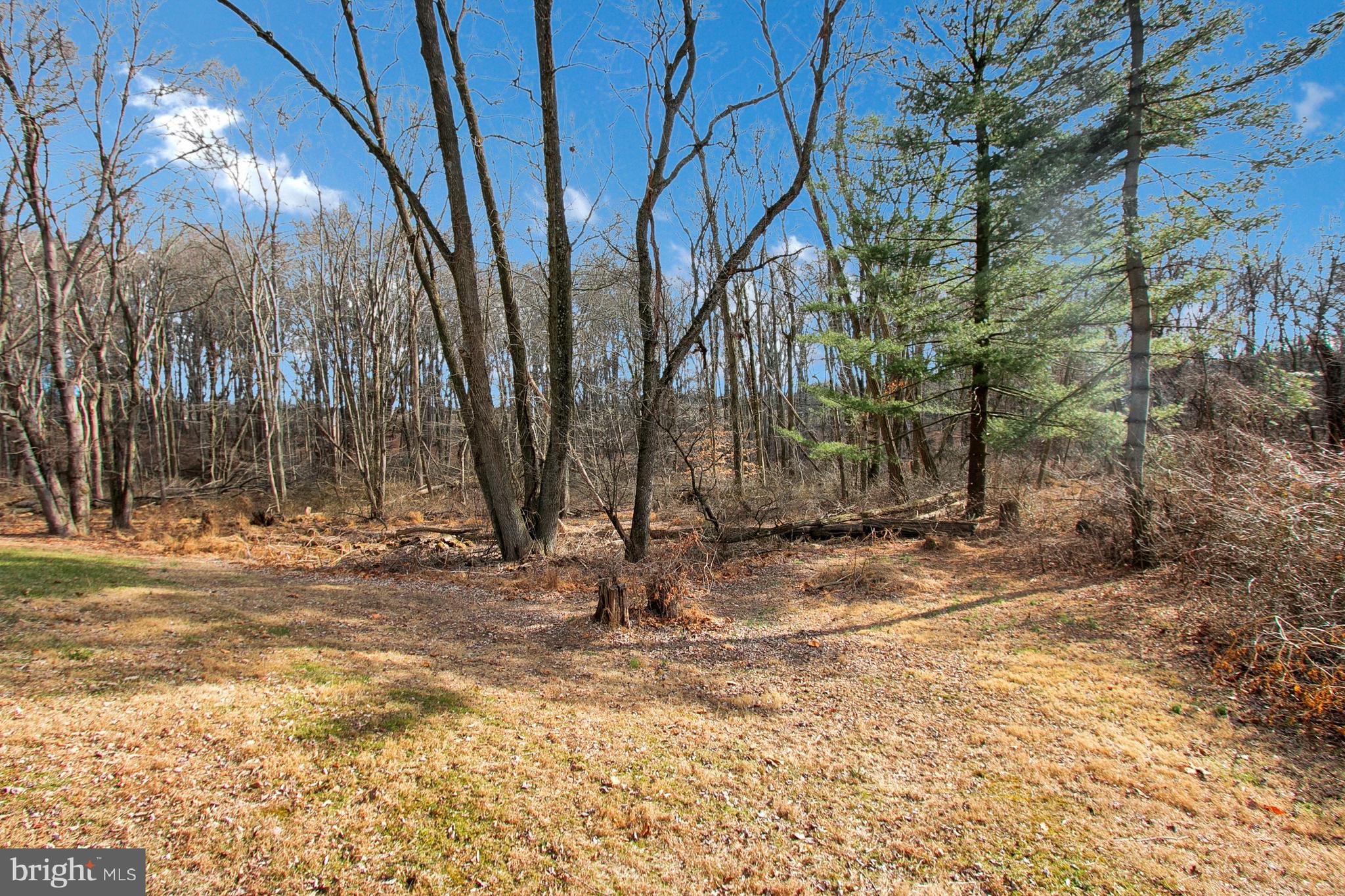 552 East Avondale Road Avondale, PA 19311 - Photo 38 of 43 View from Deck
