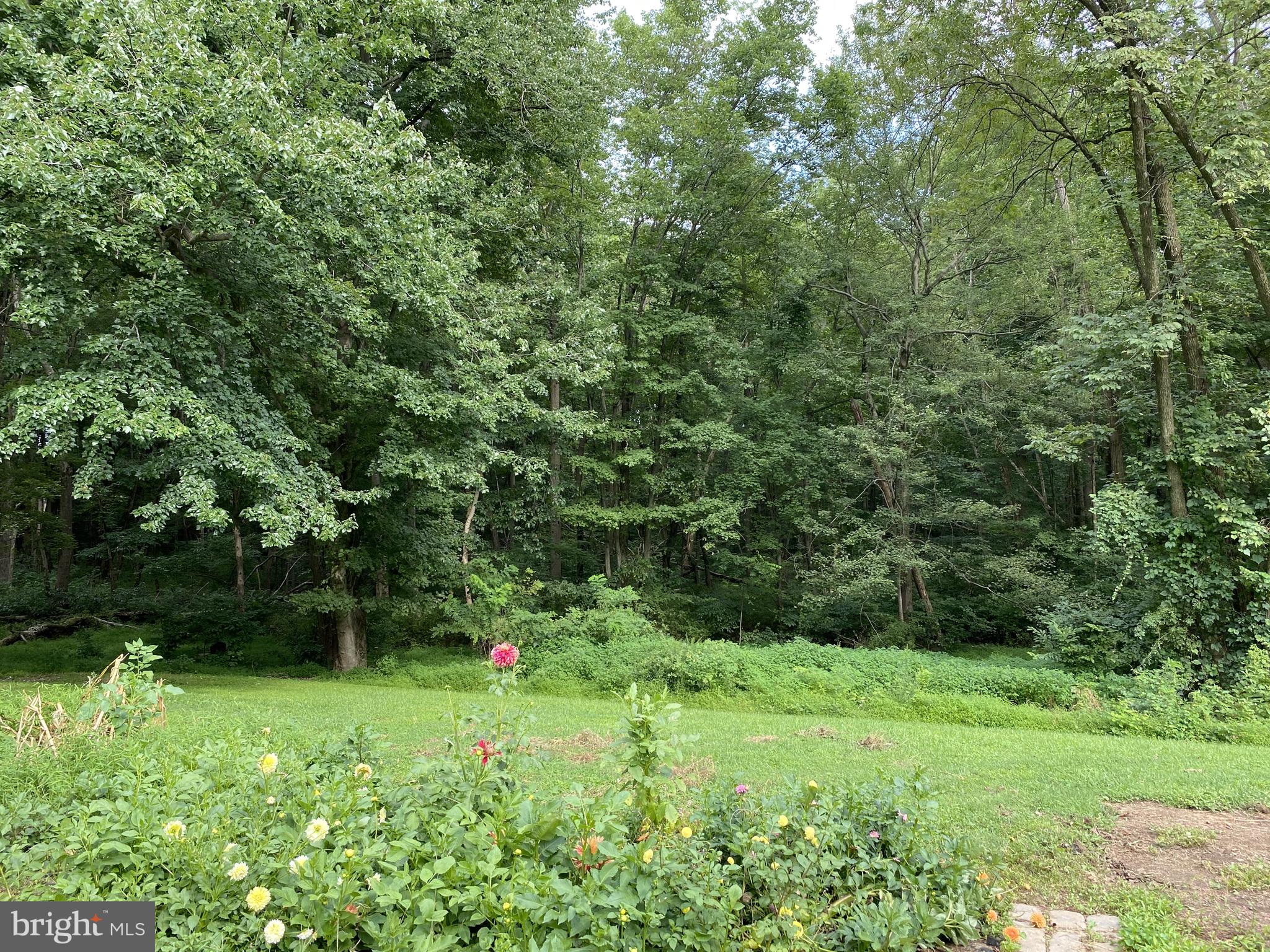552 East Avondale Road Avondale, PA 19311 - Photo 43 of 43 Flower Garden
