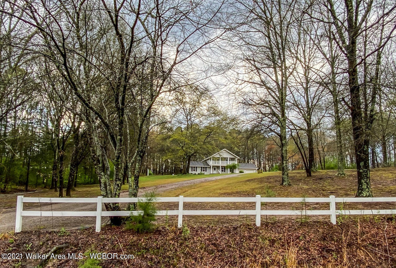 787 Golf Road Jasper, AL 35504 - Photo 1 of 24 Gallery Image 1