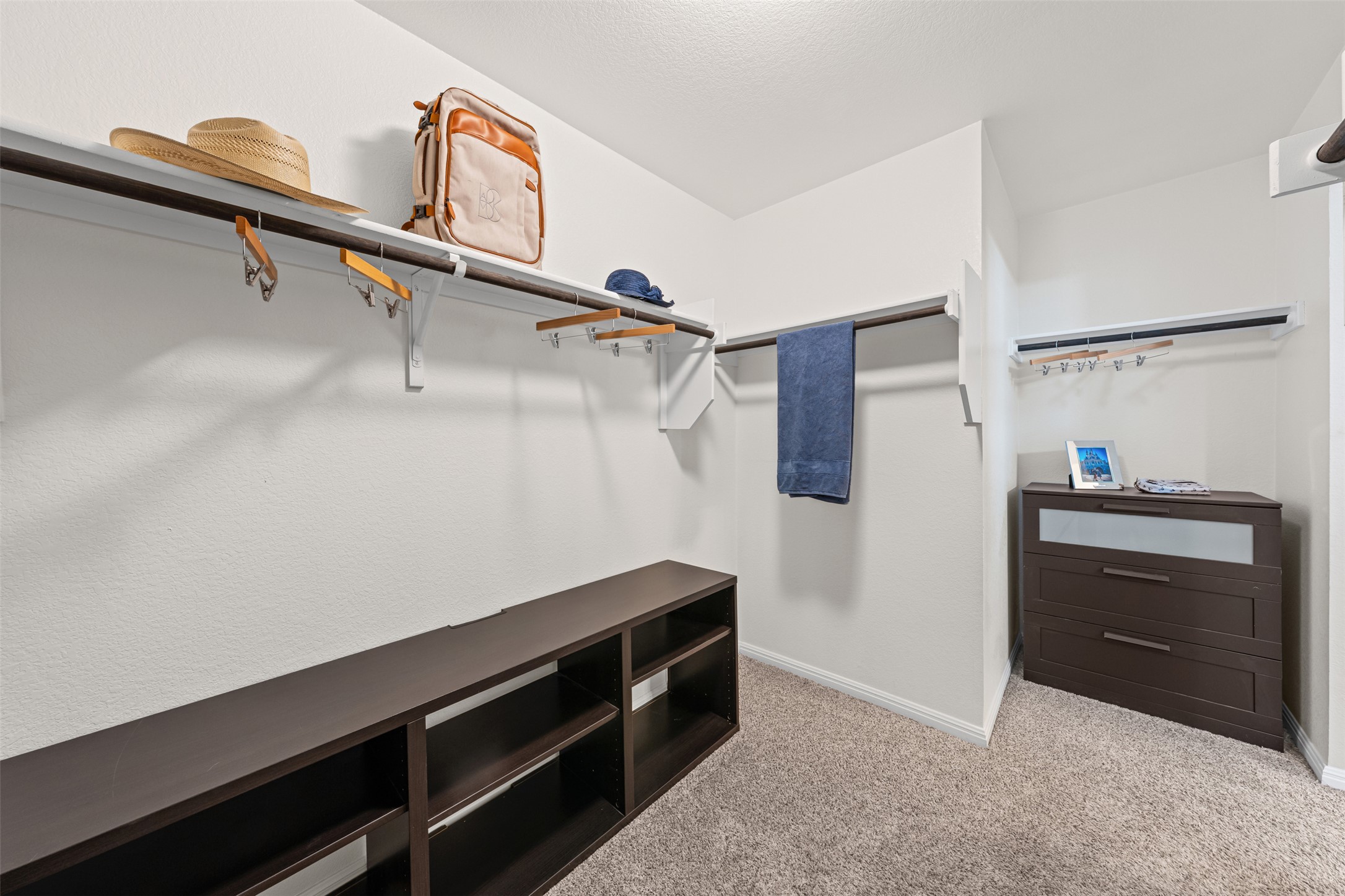 132 Dunlin Lane Leander, TX 78641 - Photo 19 of 34 Spacious closet with light carpet