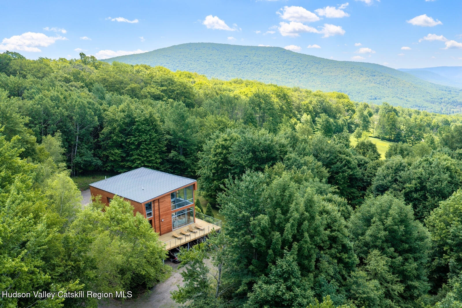 1915 Vega Mountain Road Roxbury, NY 12474 - Photo 1 of 51 1