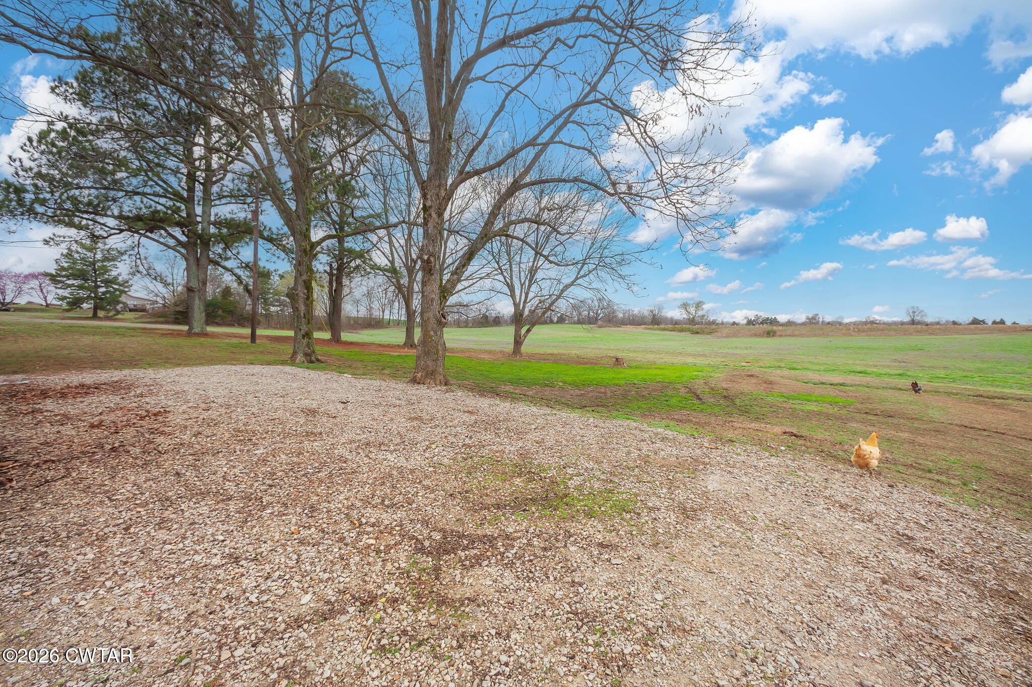 919 Bratt Thomas Road Brownsville, TN 38012 - Photo 9 of 29 a view of an ocean with a big yard
