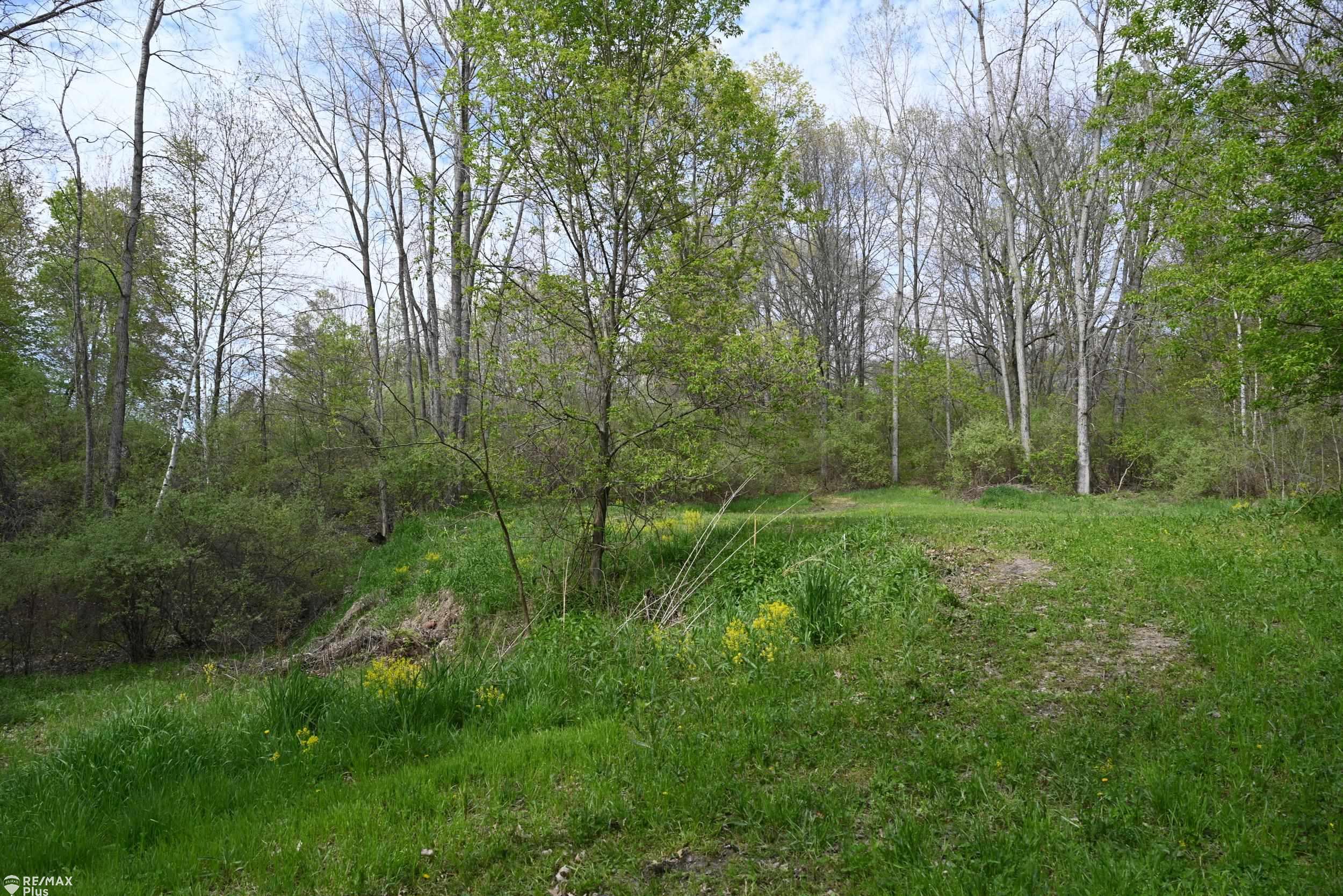 0 Miller Lake Road Columbiaville, MI 48421 - Photo 9 of 33
