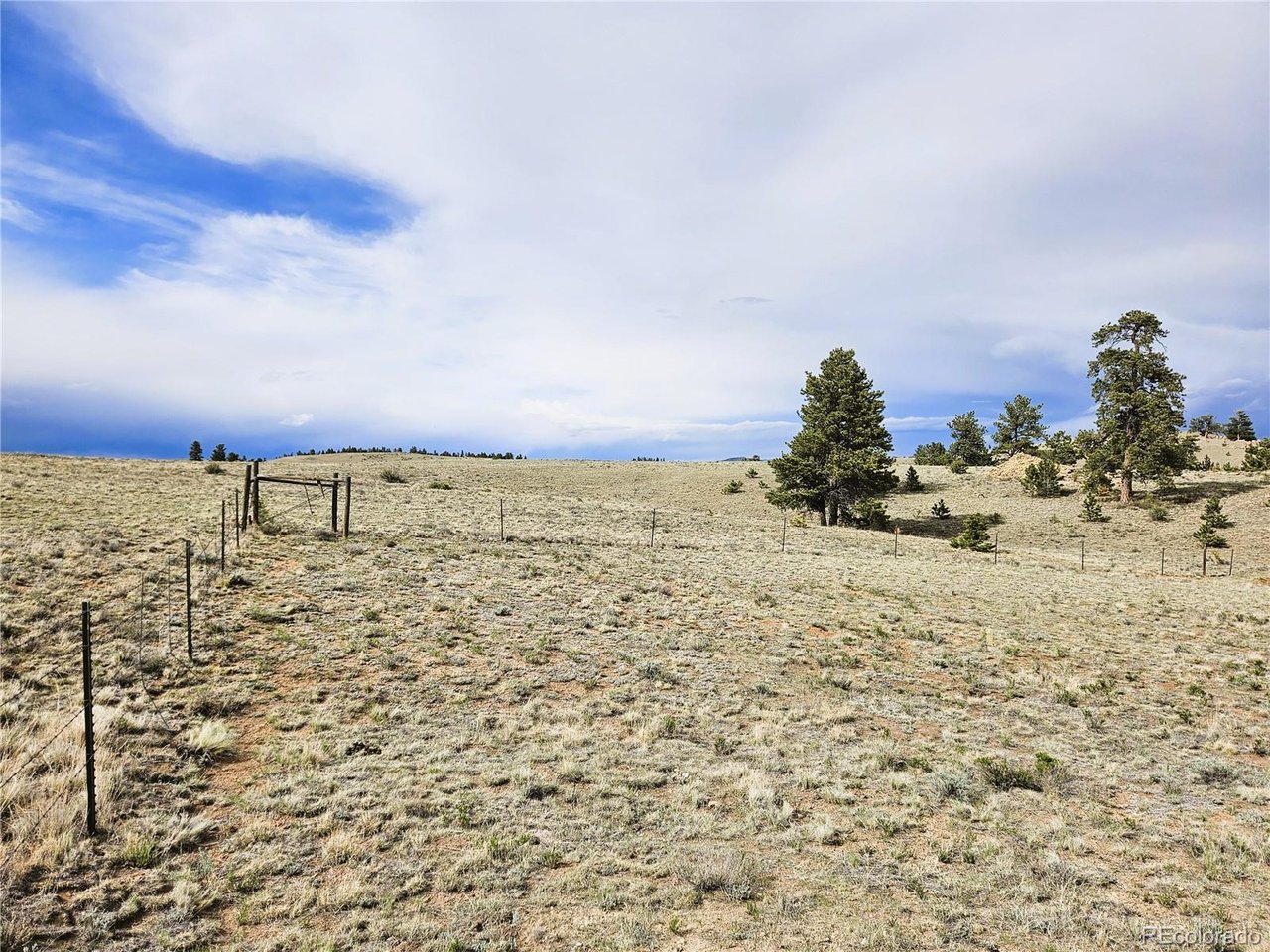24131 Chato Road Hartsel, CO 80449 - Photo 13 of 28
