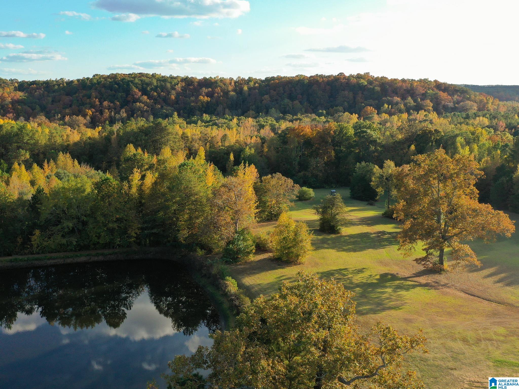 10715 Big Hurricane Road Brookwood, AL 35444 - Photo 1 of 47