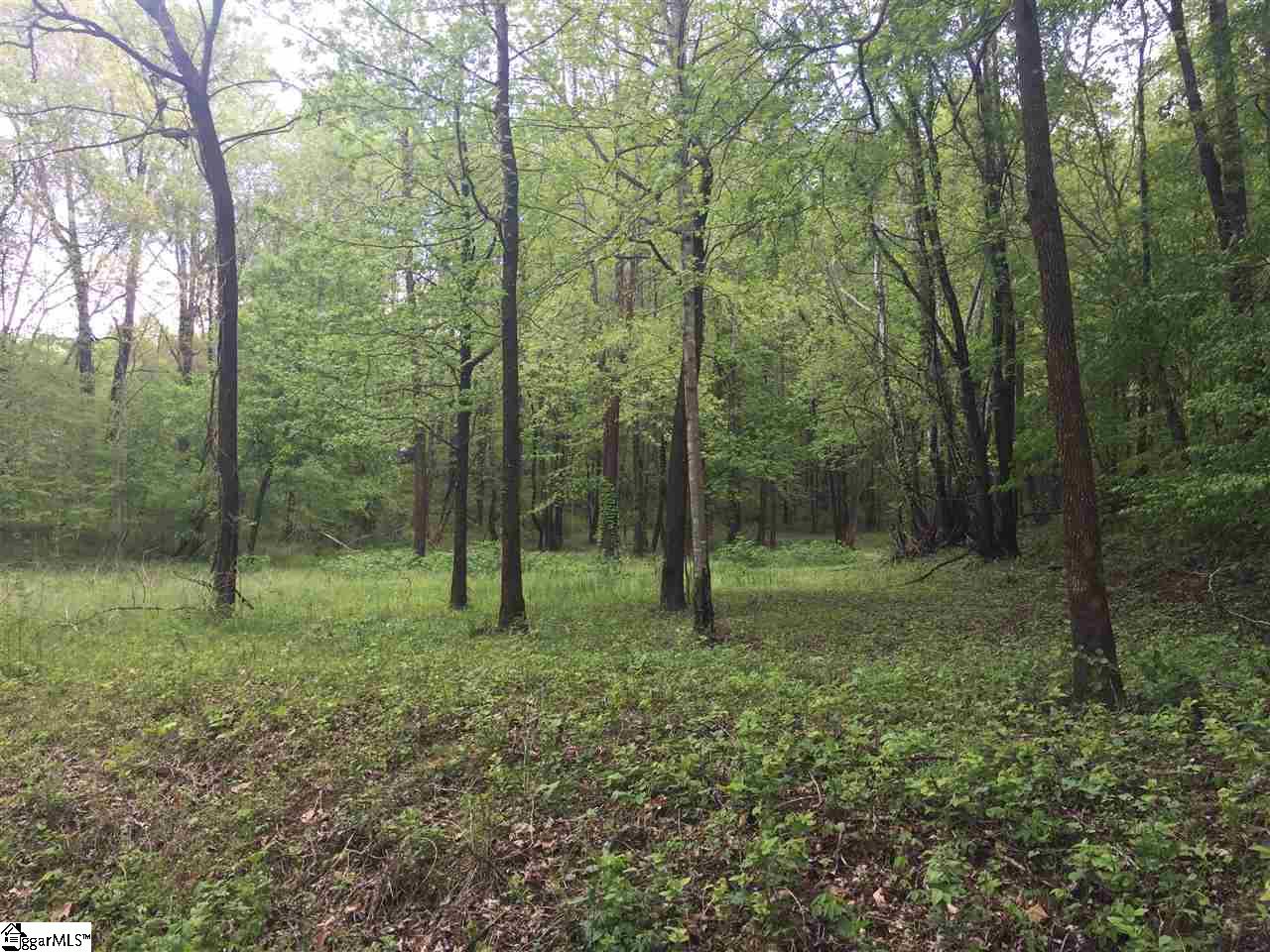 0 Christopher Lane Tryon, NC 28782 - Photo 1 of 1 Gallery Image 1