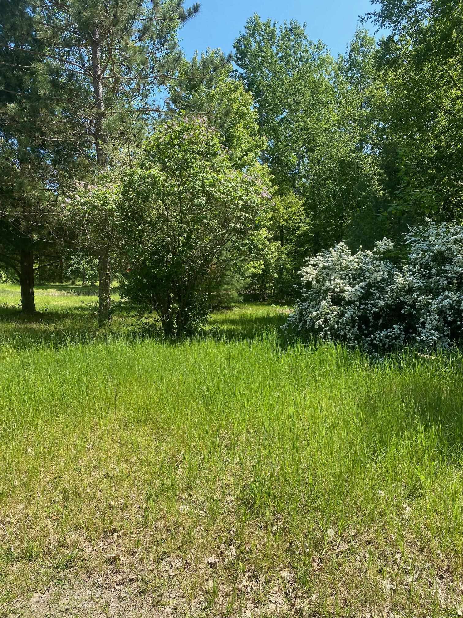 3302 Dana Road Coleman, MI 48618 - Photo 50 of 50
