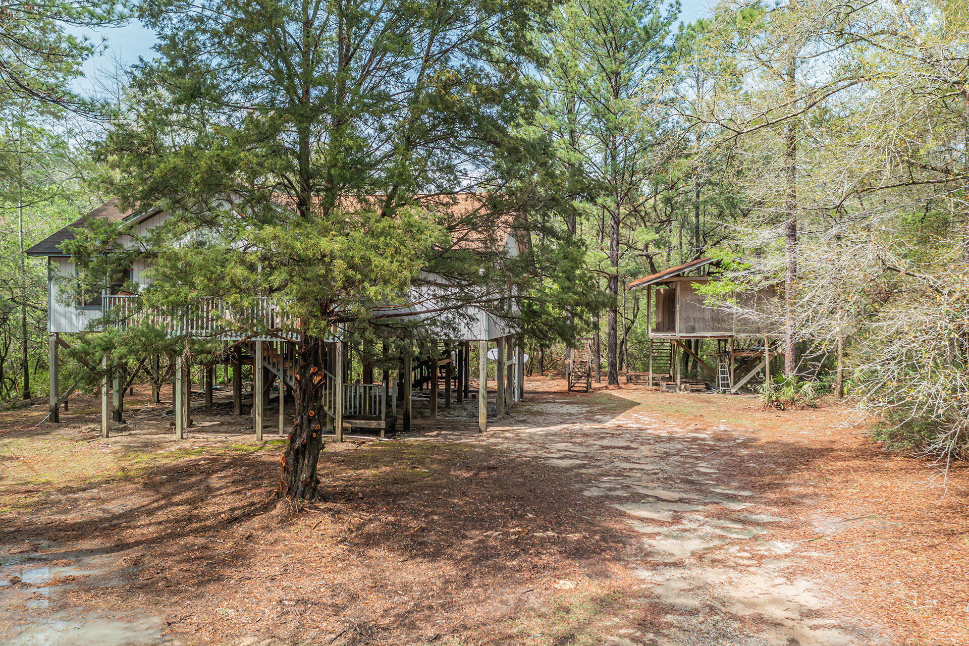 3877 Hinote Road Crestview, FL 32539 - Photo 23 of 33 a backyard of a house with lots of trees
