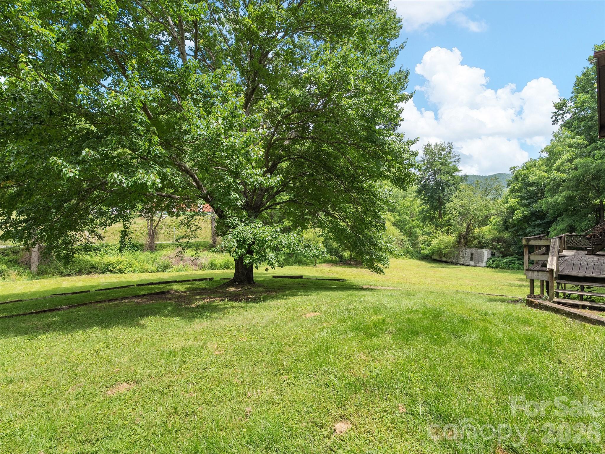 277 Orion Davis Road Waynesville, NC 28786 - Photo 4 of 23