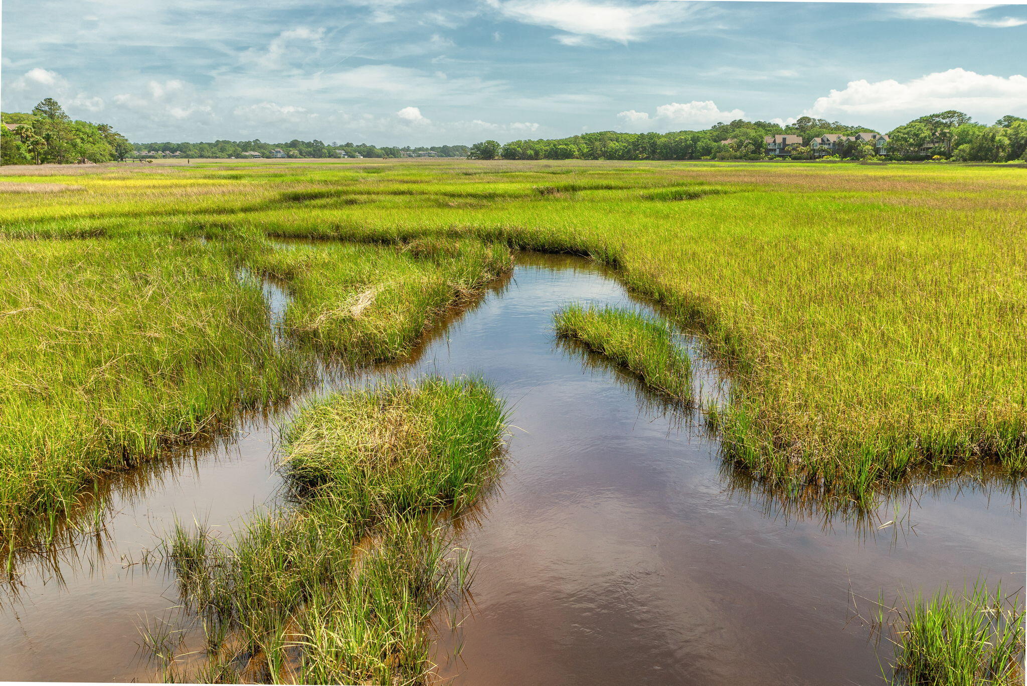 1511 Marsh Haven Johns Island, SC 29455 - Photo 32 of 84 30-web-or-mls-Seabrook Amenities_-11