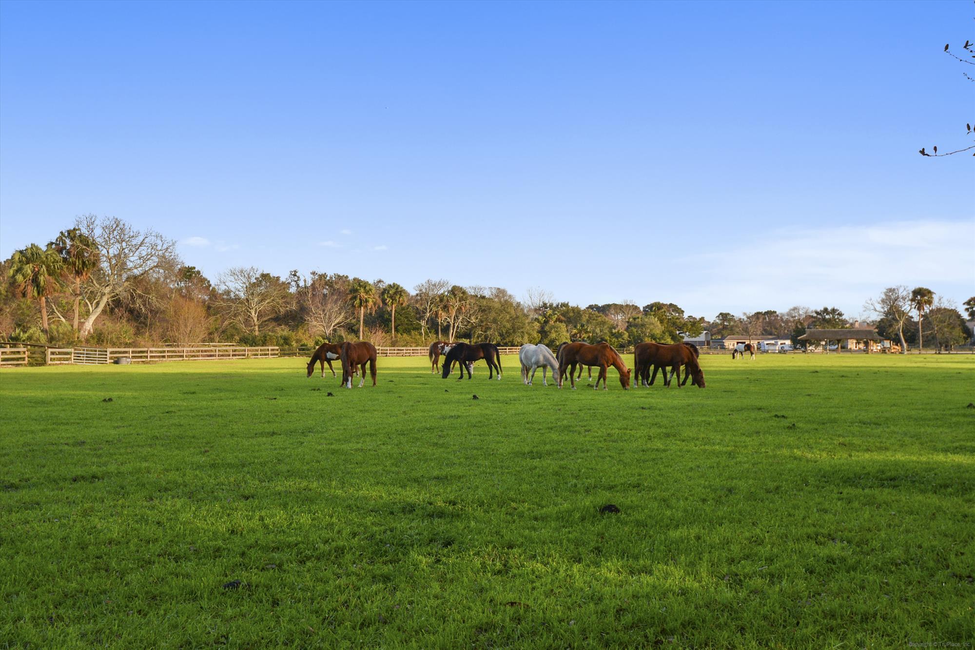 1511 Marsh Haven Johns Island, SC 29455 - Photo 79 of 84 amenity-the equestrian center-dsc_4387