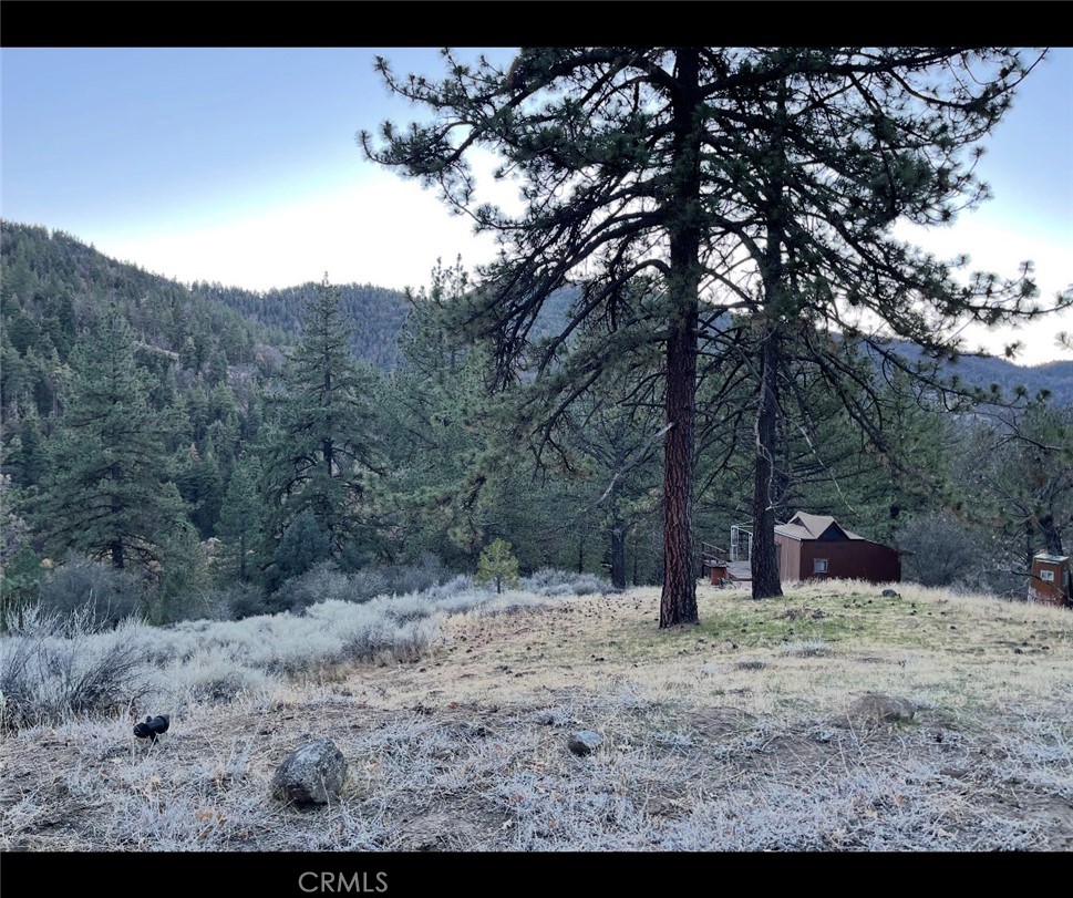 16441 Jungfrau Way Tehachapi, CA 93561 - Photo 5 of 5