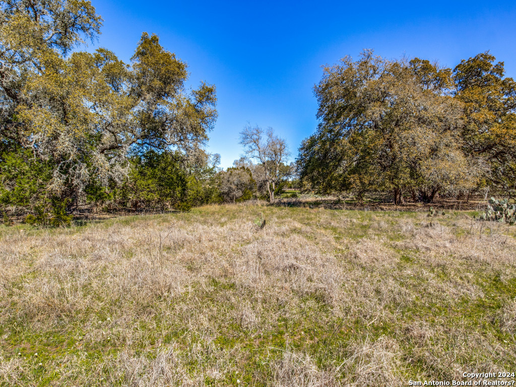 7911 Silver Spur Trail Boerne, TX 78015 - Photo 5 of 12