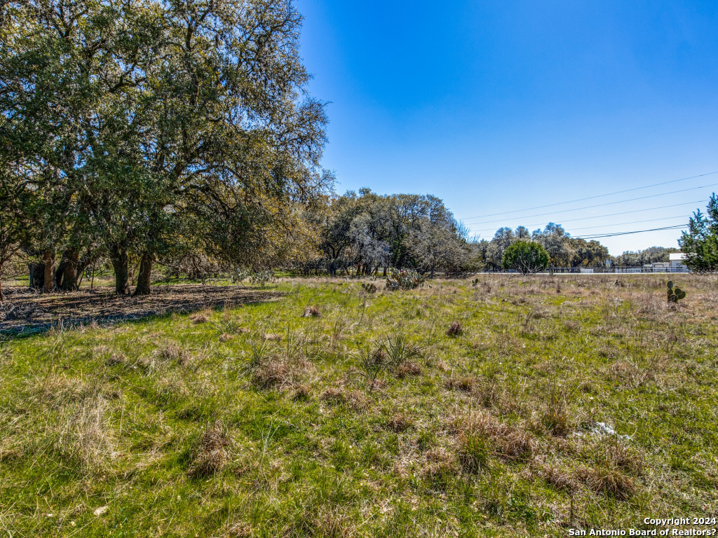 7911 Silver Spur Trail Boerne, TX 78015 - Photo 6 of 12