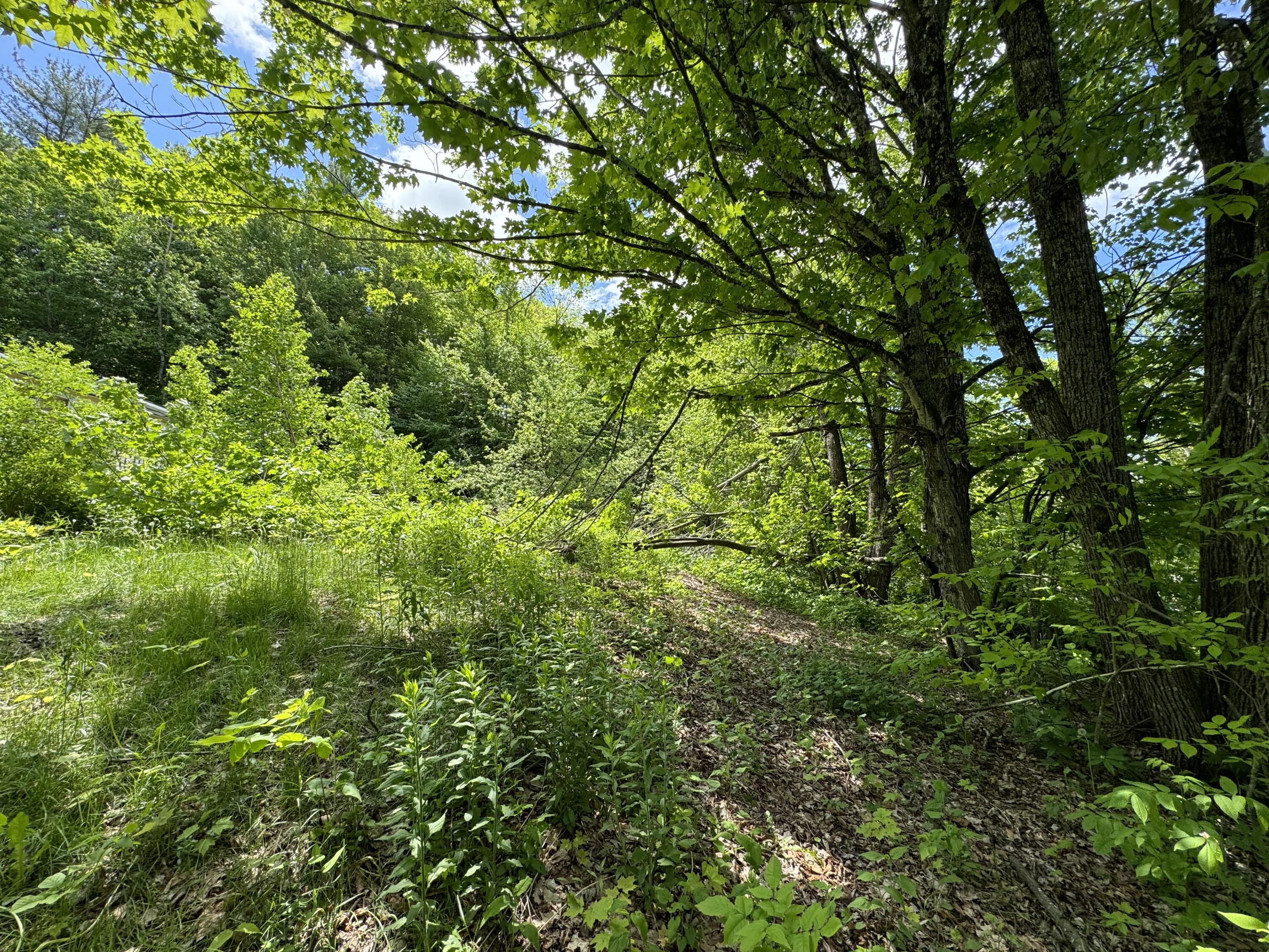 144 Hebron Road Buckfield, ME 04220 - Photo 3 of 9 Yard