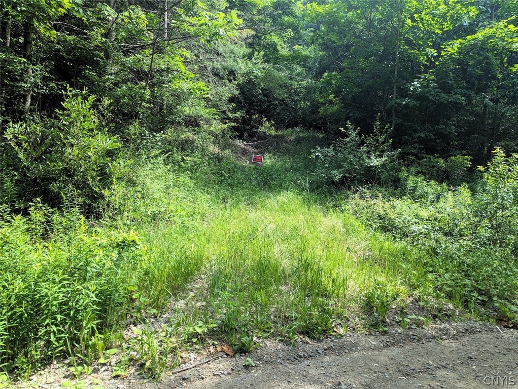 Keifer Hollow Road Dansville, NY 14437 - Photo 2 of 33