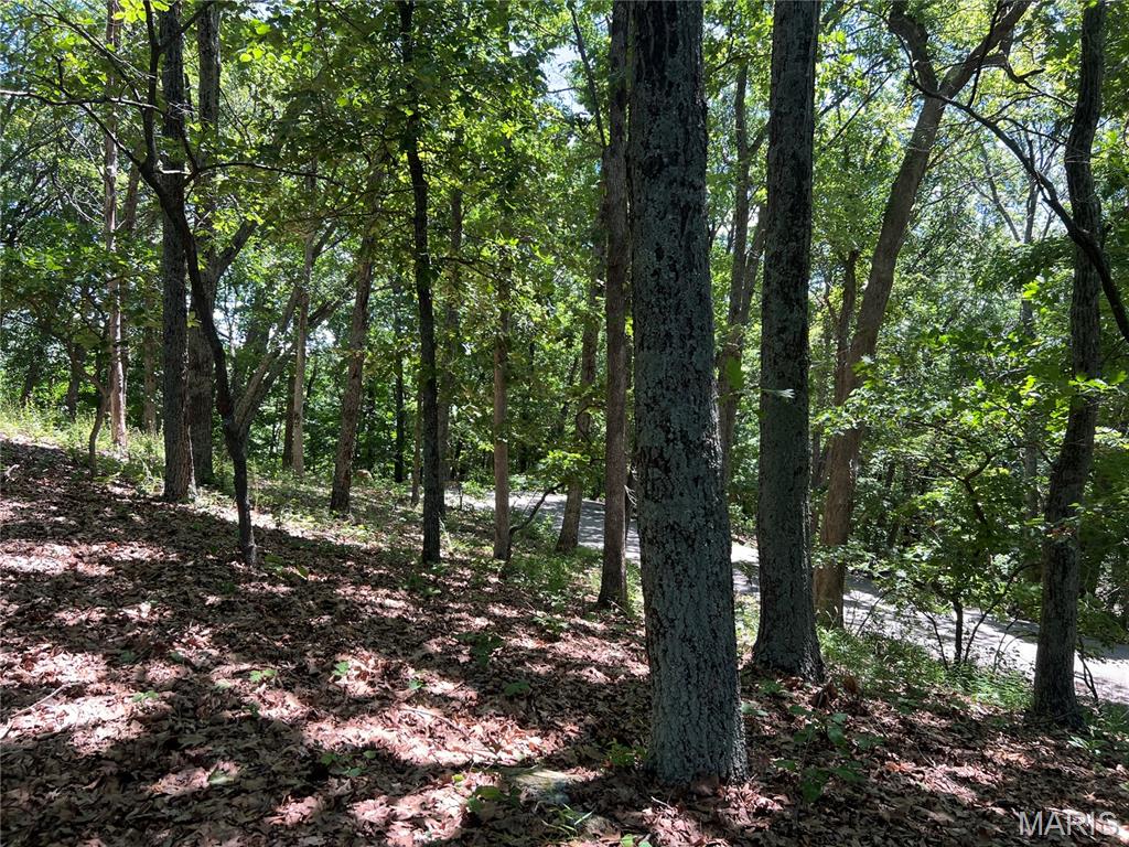 1055 Wings Road St. Albans, MO 63073 - Photo 11 of 21