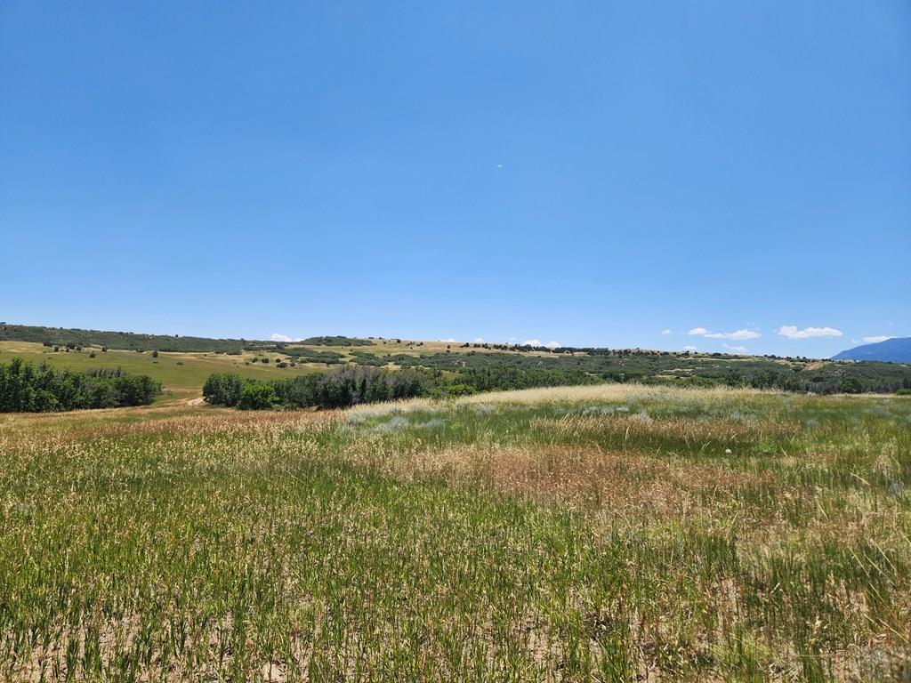 Tbd Rock View Boulevard Rye, CO 81069 - Photo 3 of 13