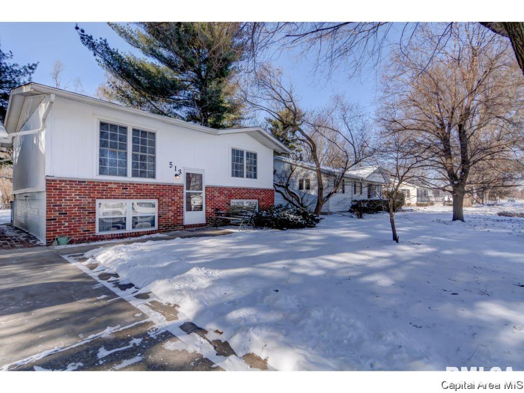 513 Sattley Street Rochester, IL 62563 - Photo 2 of 26