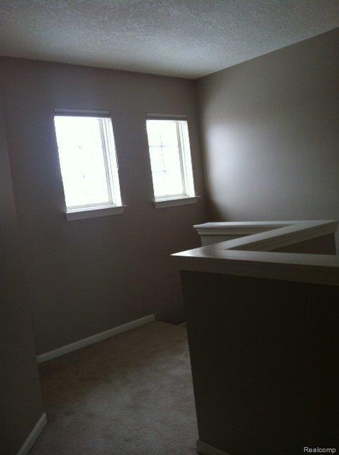 454 Lilly View Court Howell, MI 48843 - Photo 12 of 24 Upstairs hall.jpg