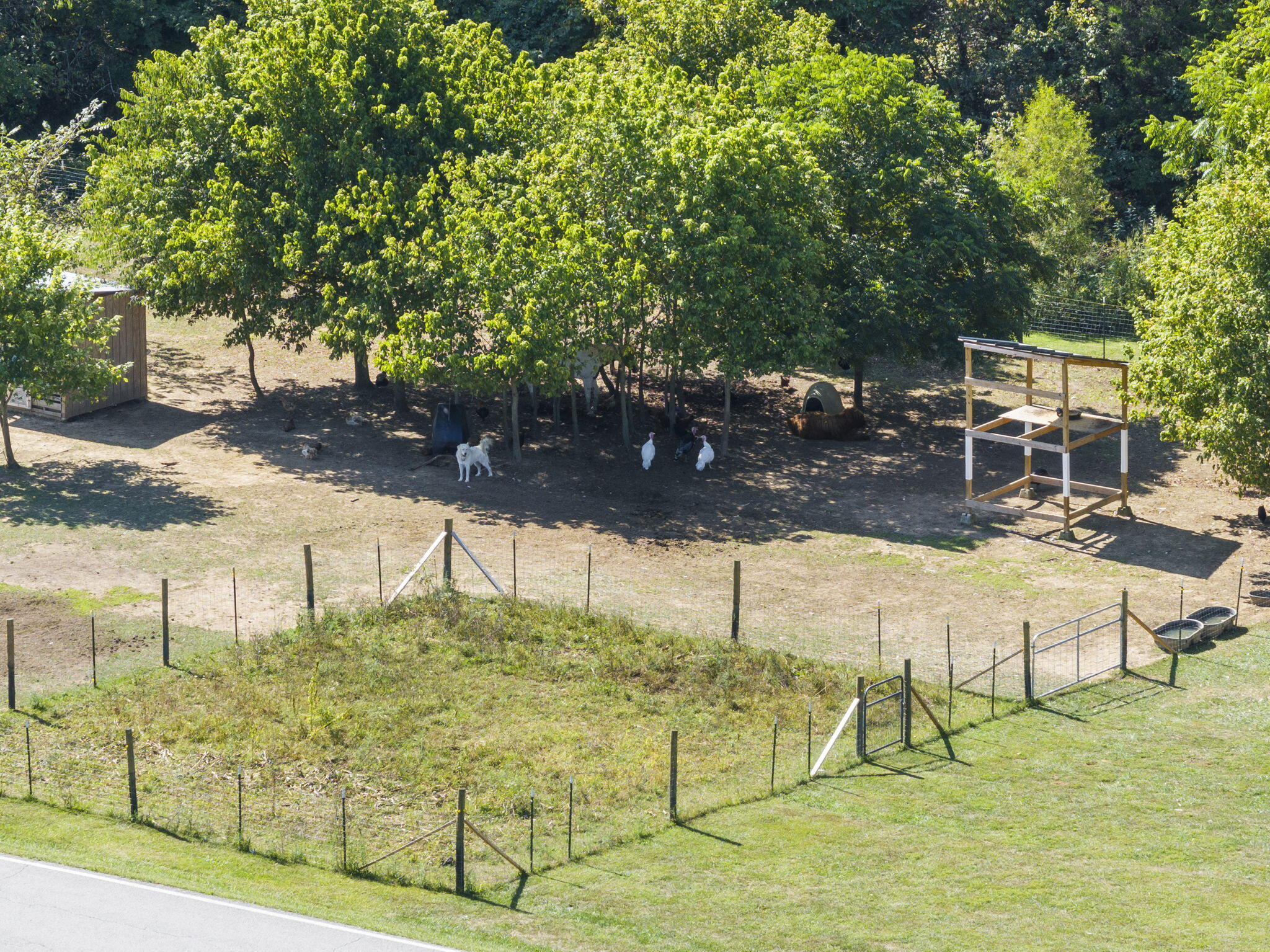2707 Davis Road Sadieville, KY 40370 - Photo 42 of 60 3-web-or-mls-DJI_20240912121113_0411_D