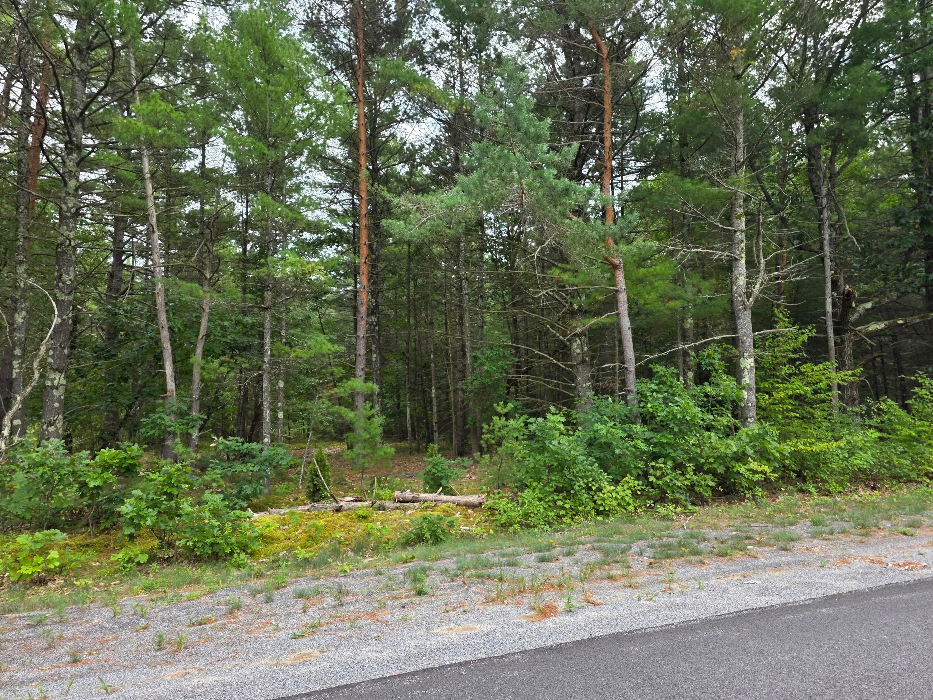 83 Taylor Hill Road Keeseville, NY 12944 - Photo 25 of 29 Gallery Image 25