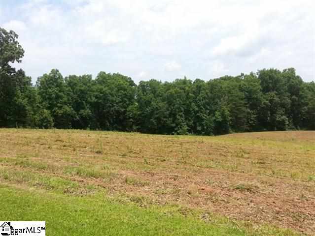 6118 Highway 11 Inman, SC 29349 - Photo 14 of 19