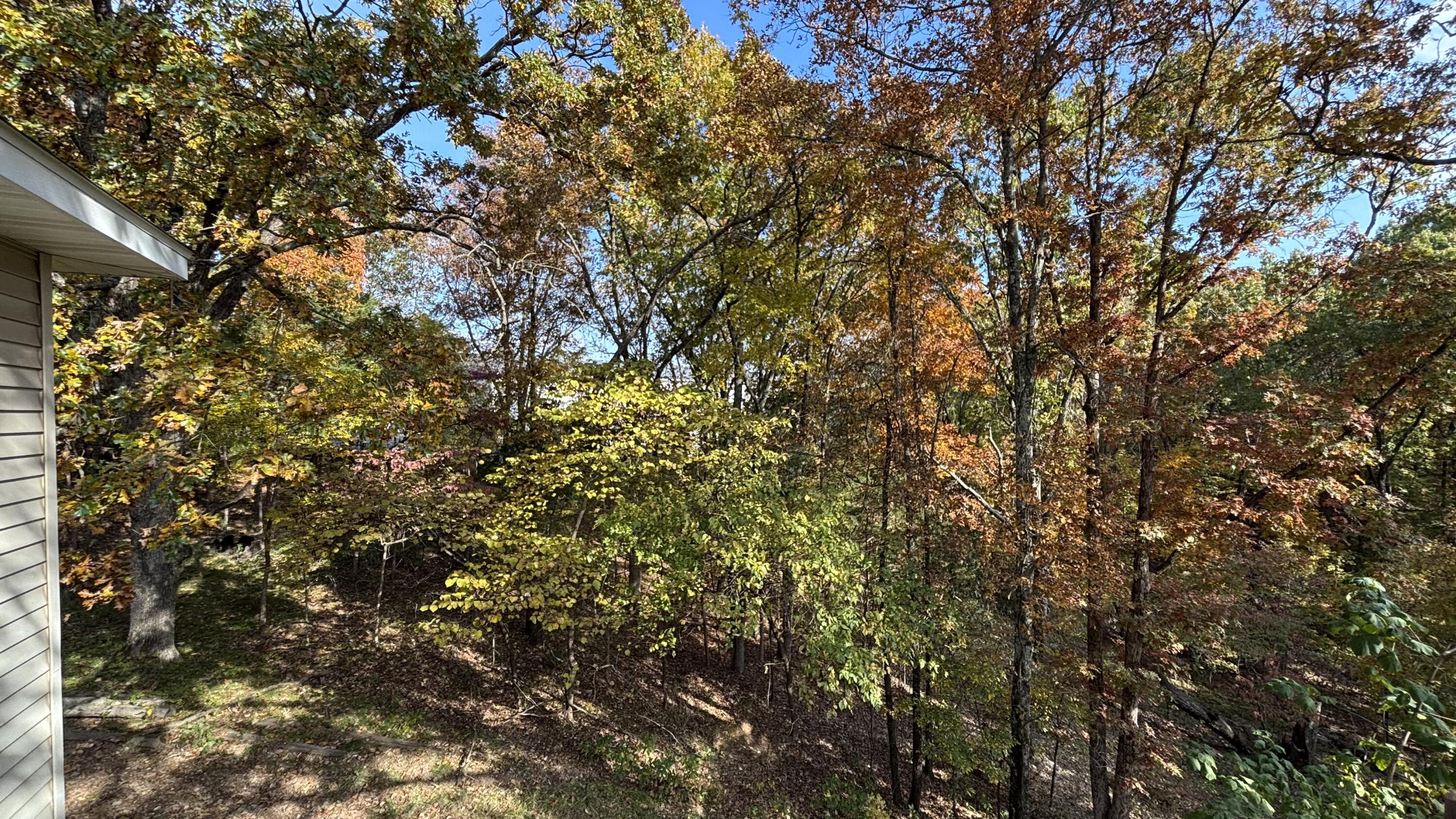 22 Old Southern Road Branson, MO 65616 - Photo 10 of 43 3-acres-table-rock-lake-acreage-branson