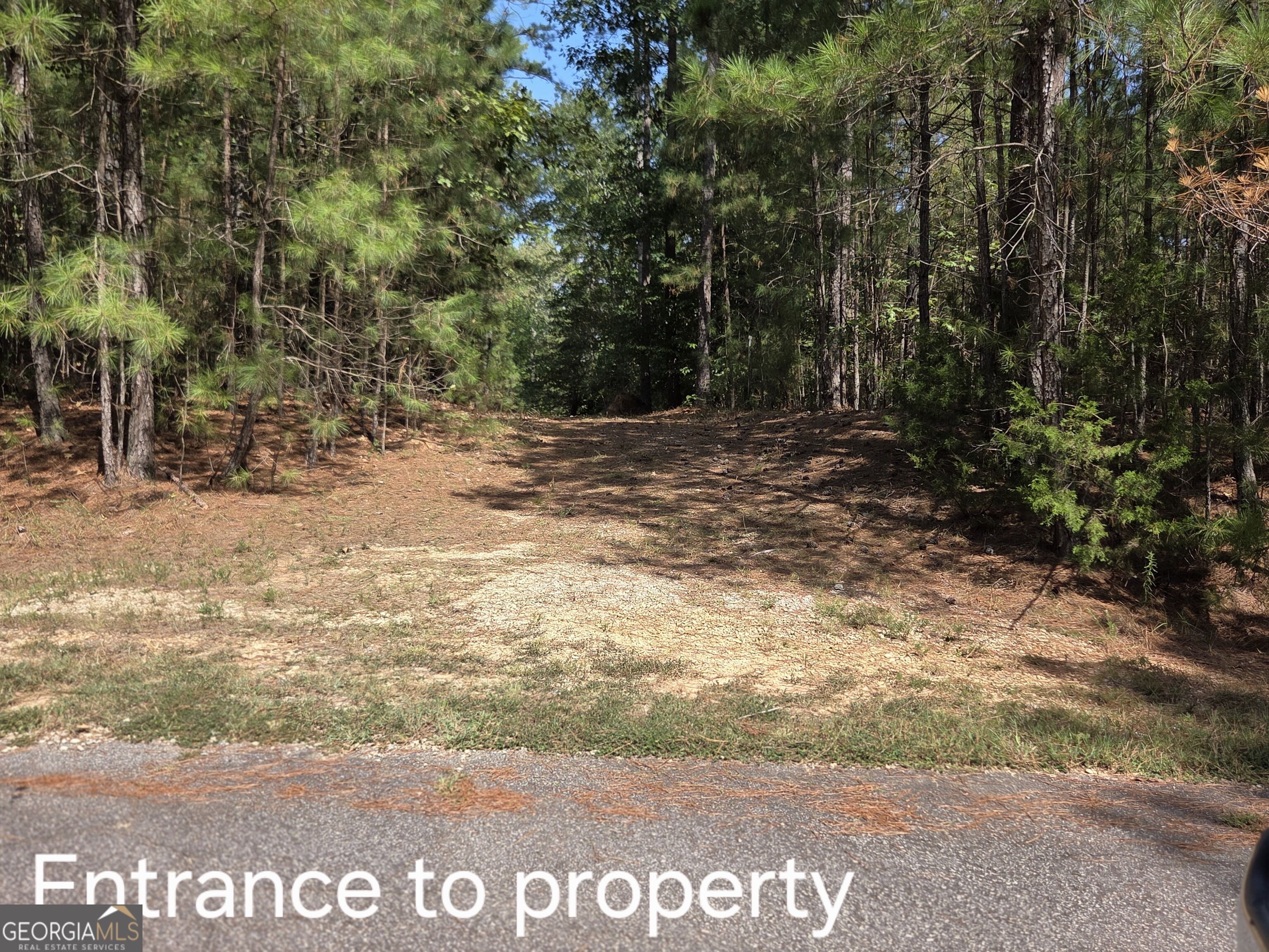0 Bluff Road, Unit LOT 21 Elberton, GA 30635 - Photo 13 of 18 Gallery Image 13