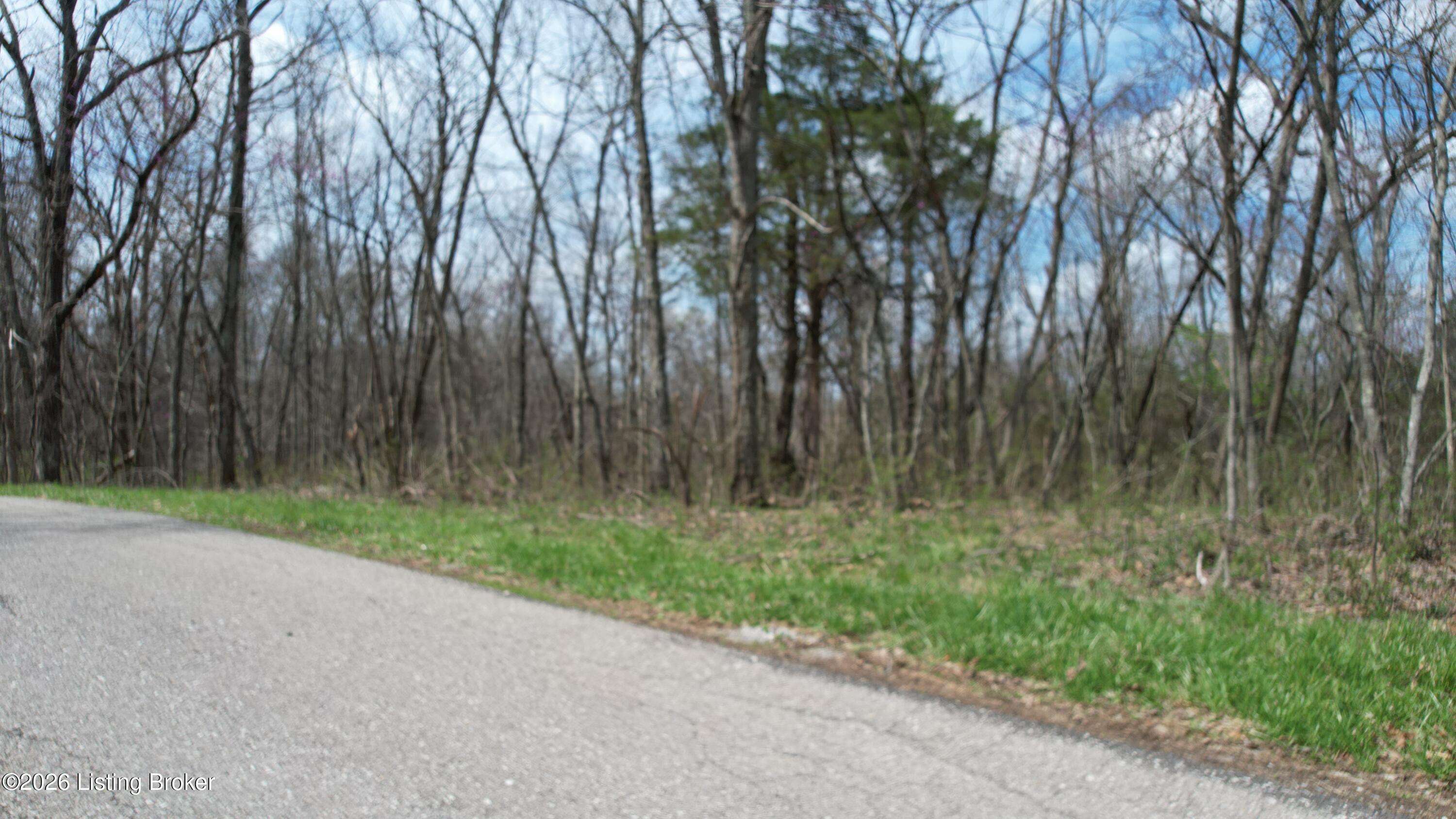 0 Fox Trail Road Corinth, KY 41010 - Photo 28 of 34 DJI_0070