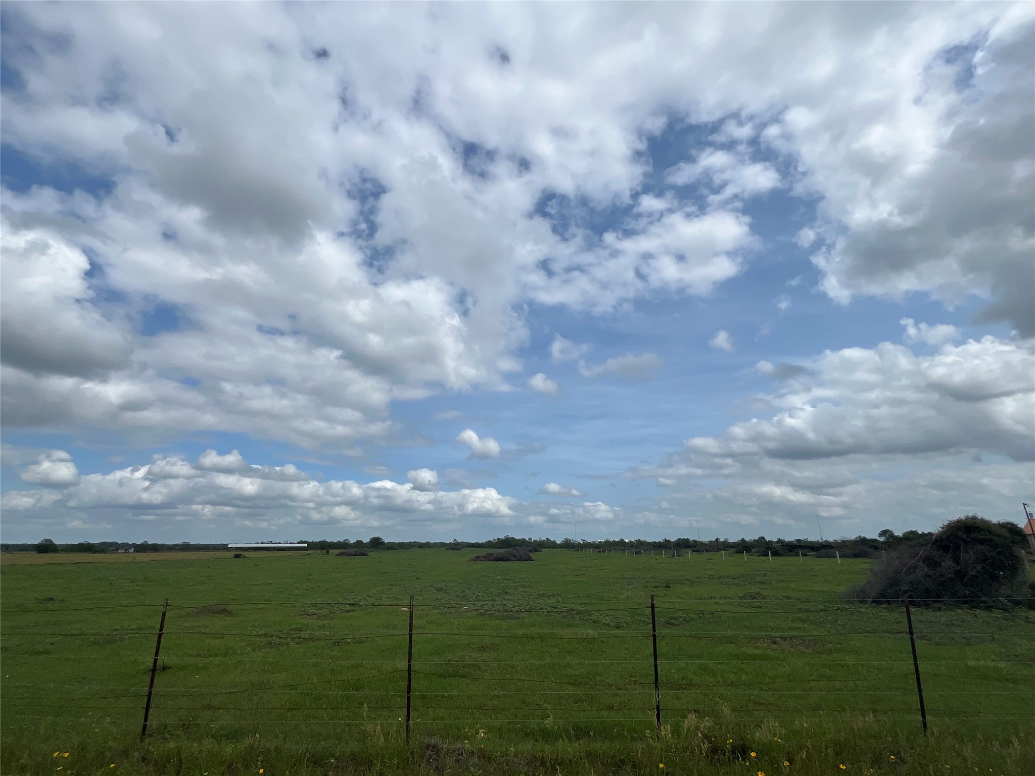 5 Kveton Cat Spring Cat Spring, TX 78933 - Photo 4 of 8
