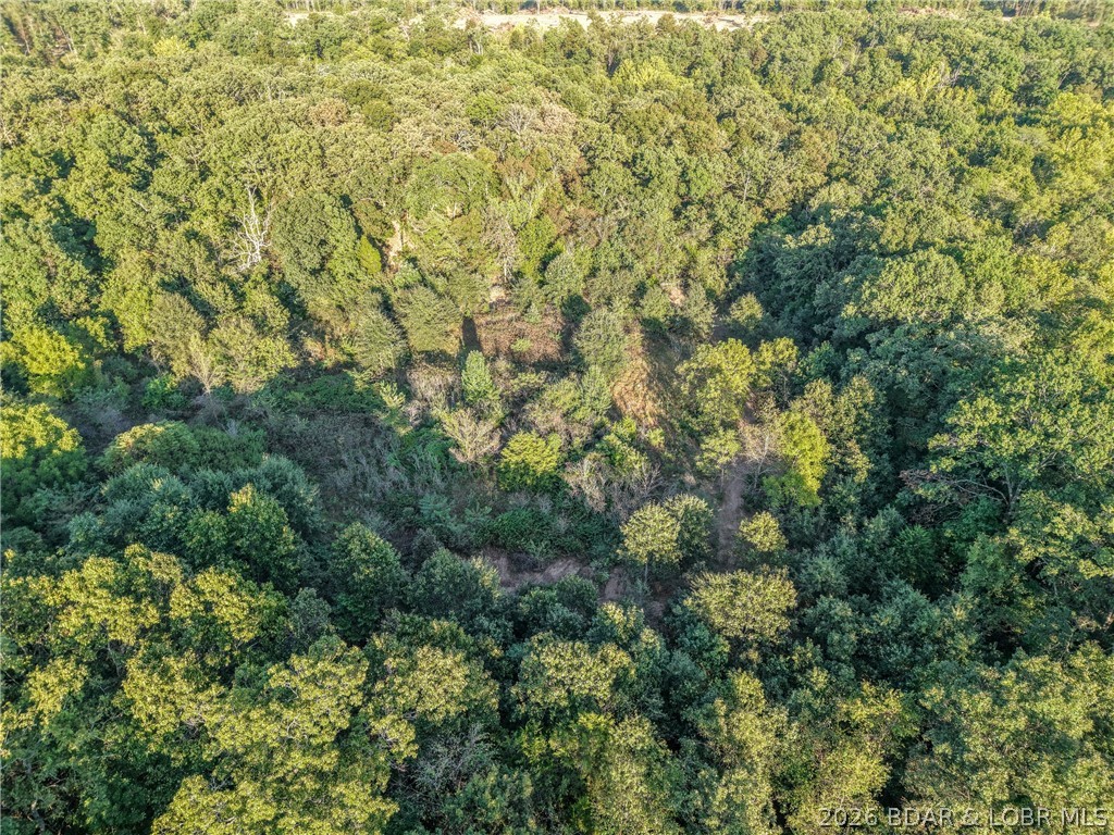 Tbd Hittridge Road Eldon, MO 65026 - Photo 13 of 19 Gallery Image 13
