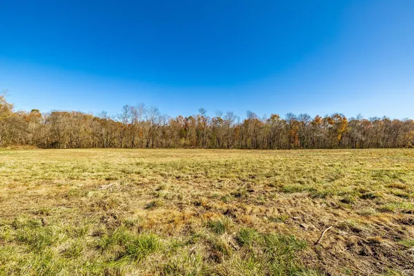 a view of a yard with a lake view