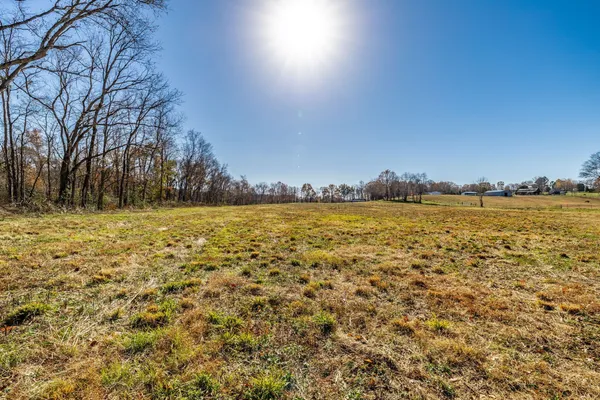 a view of lake with green space