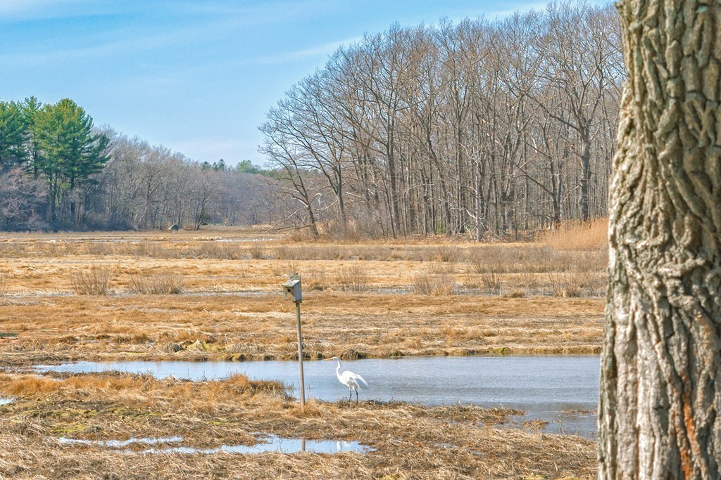 134 Argilla Road Ipswich, MA 01938 - Photo 3 of 10 a view of ocean view