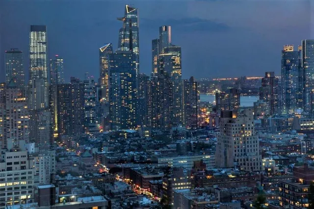 a close up of a tree in a yard